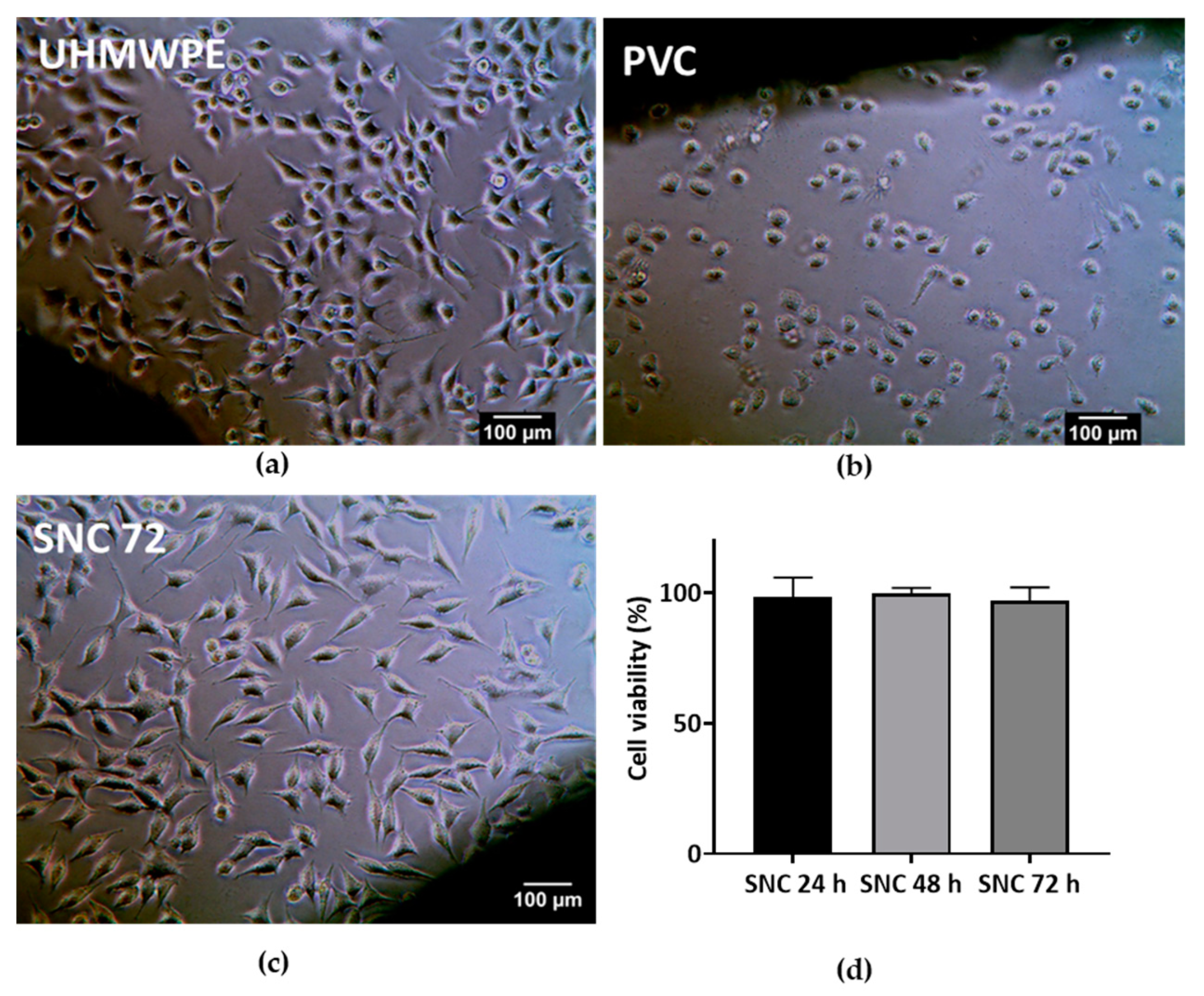 Bioengineering 10 00752 g011 Bioengineering 10 00752 g011