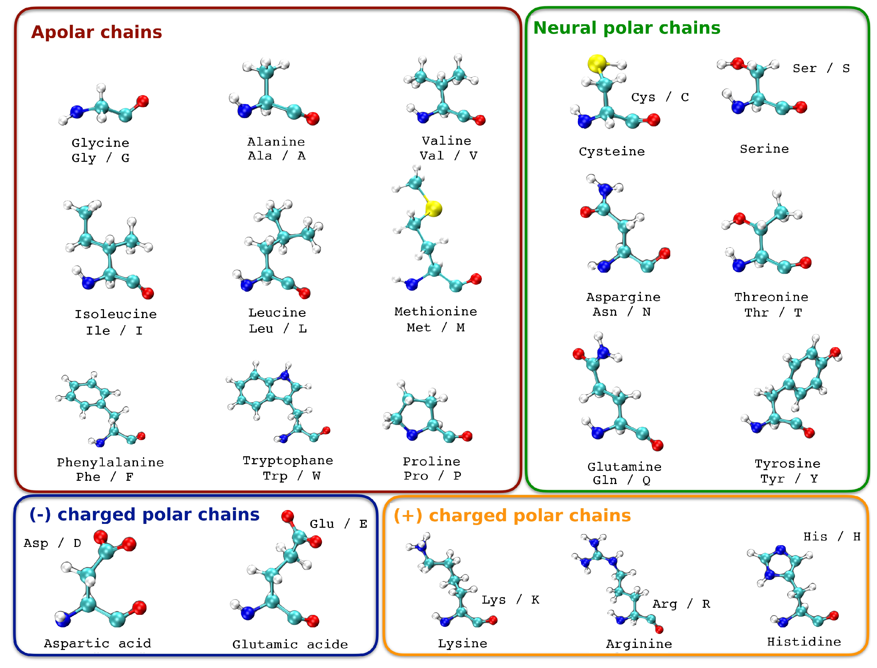 Bioengineering 10 00753 g002