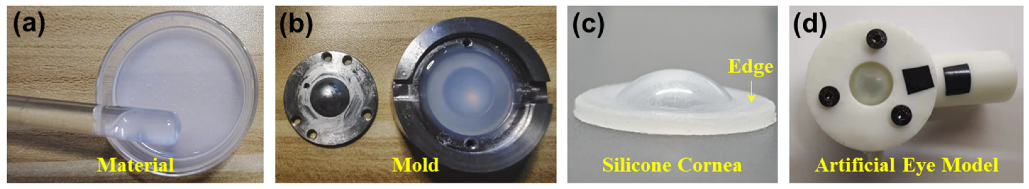 Bioengineering 10 00754 g001 Bioengineering 10 00754 g001