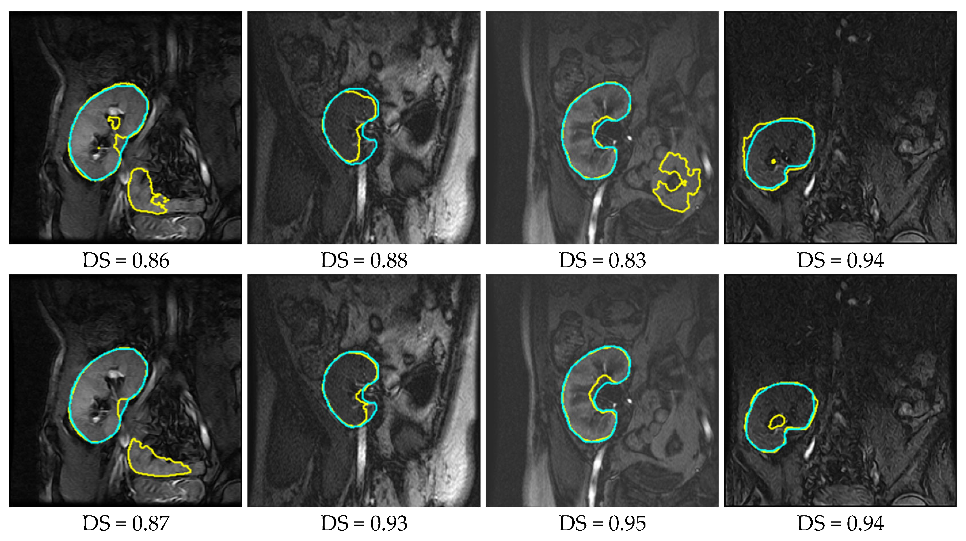 Bioengineering 10 00755 g006 Bioengineering 10 00755 g006