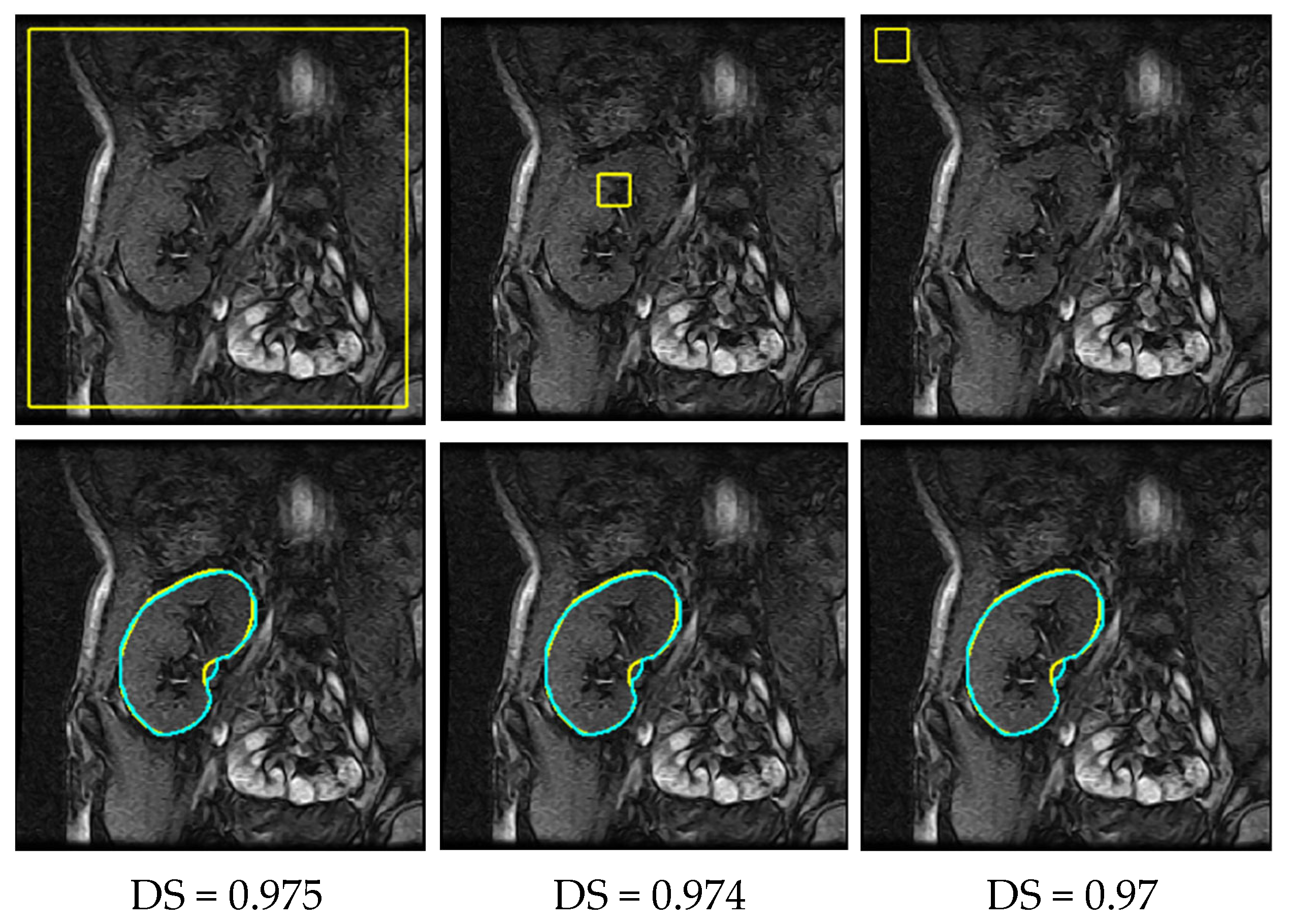 Bioengineering 10 00755 g011 Bioengineering 10 00755 g011