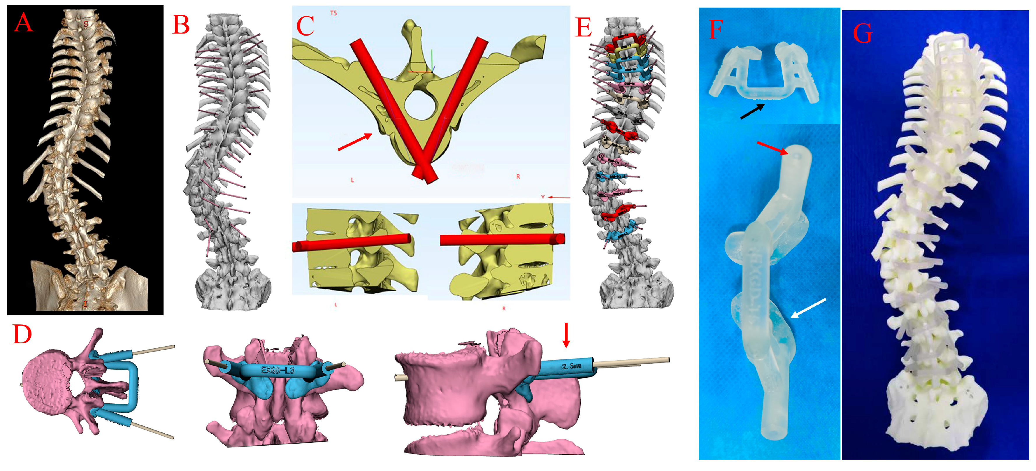 Bioengineering 10 00756 g002