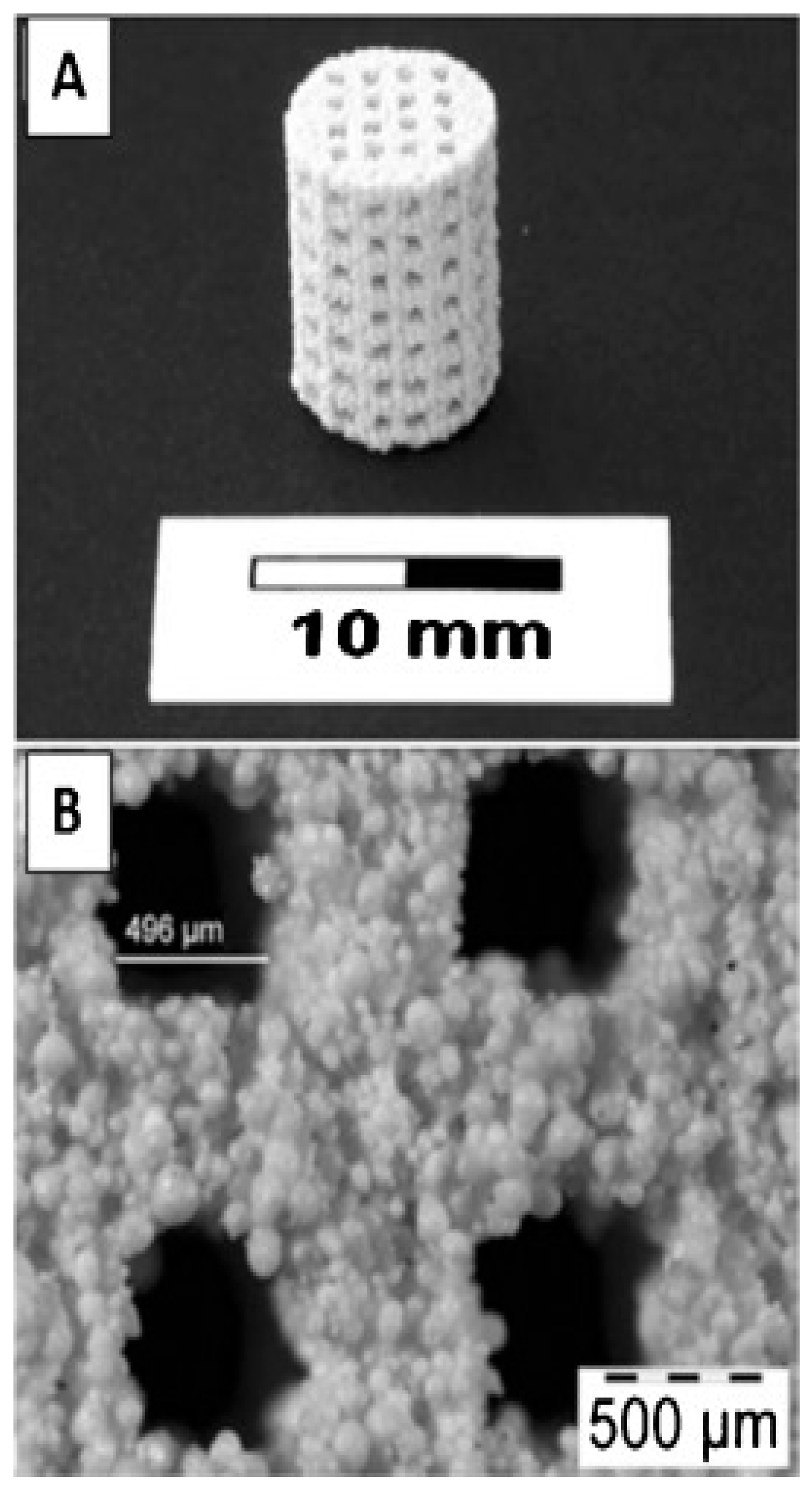 Bioengineering 10 00759 g007