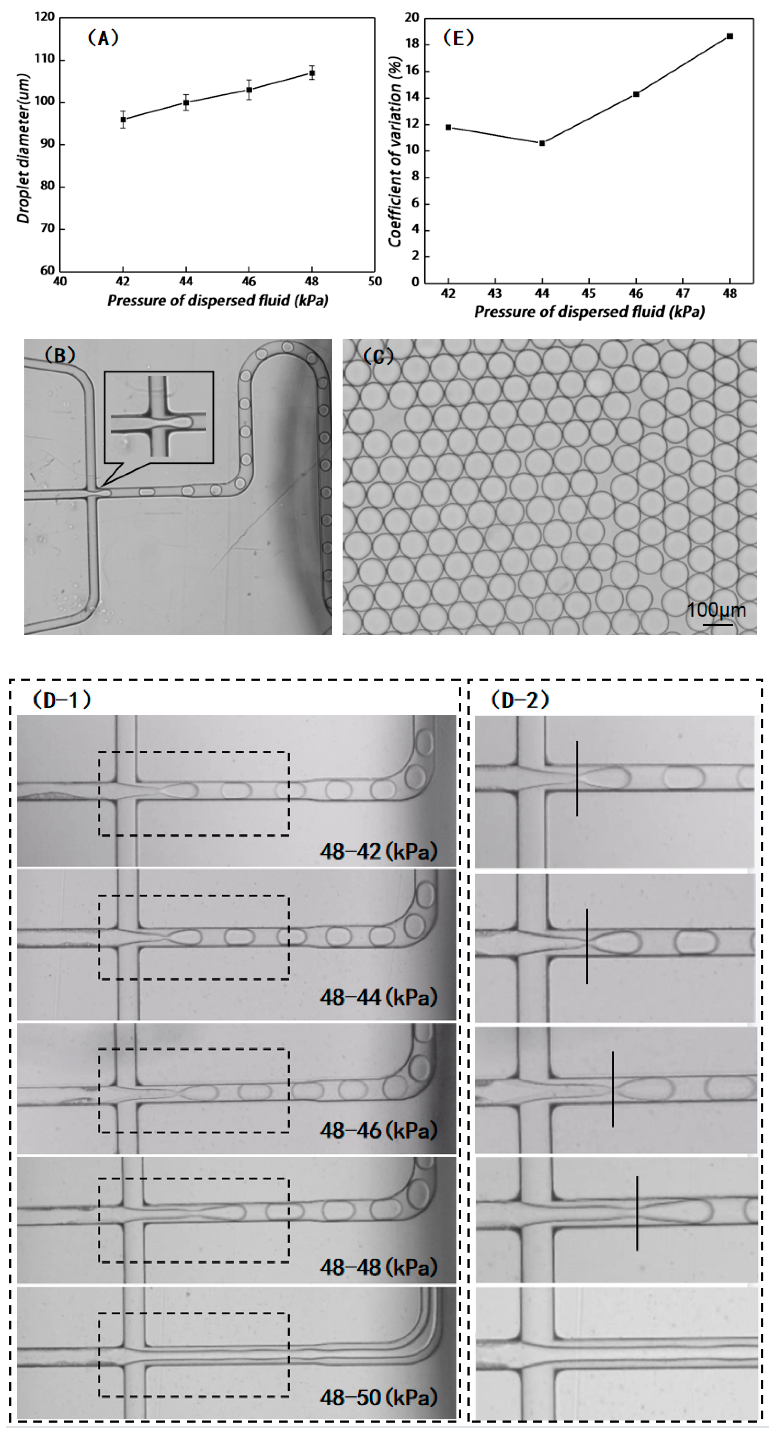Bioengineering 10 00763 g005a