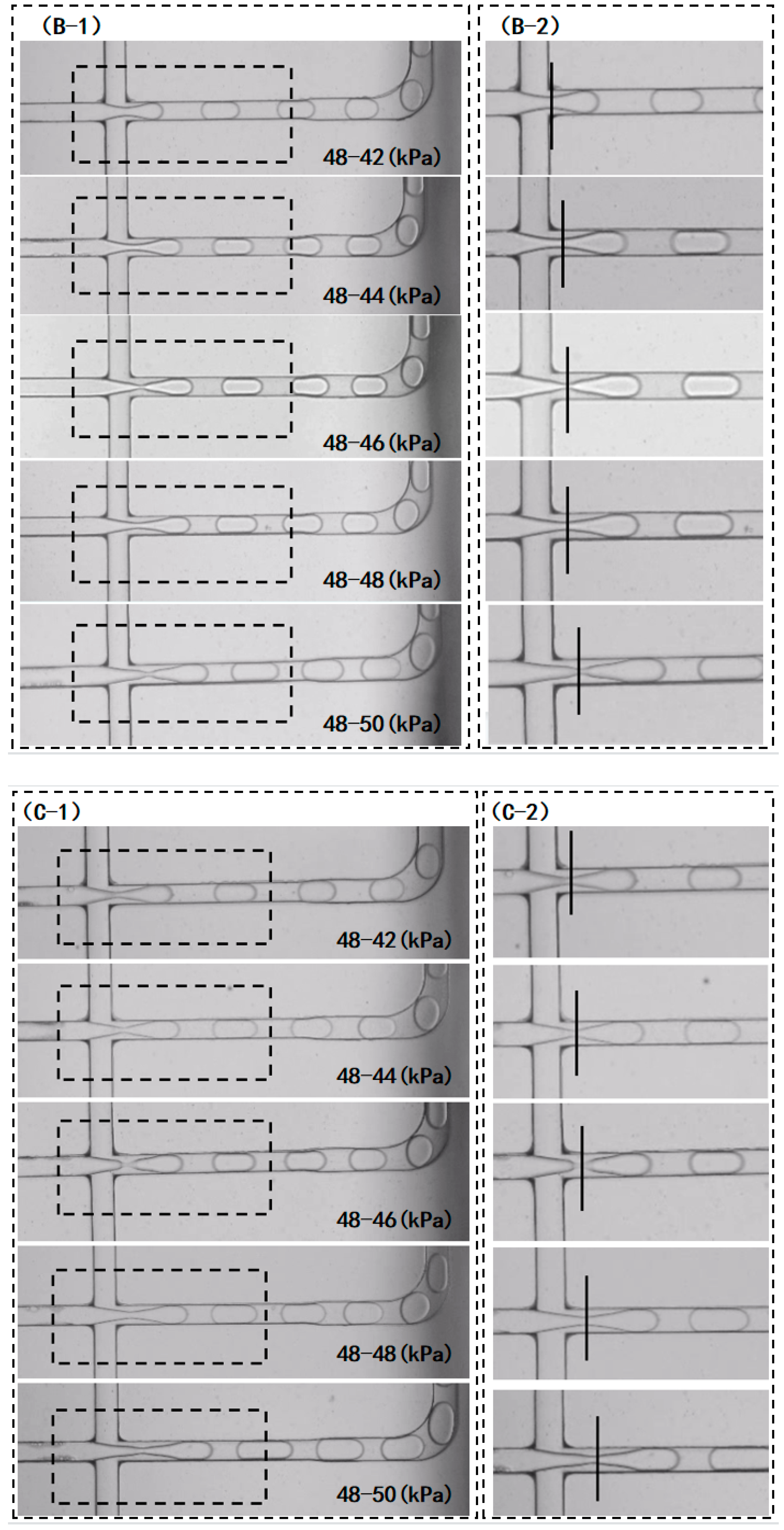 Bioengineering 10 00763 g006b