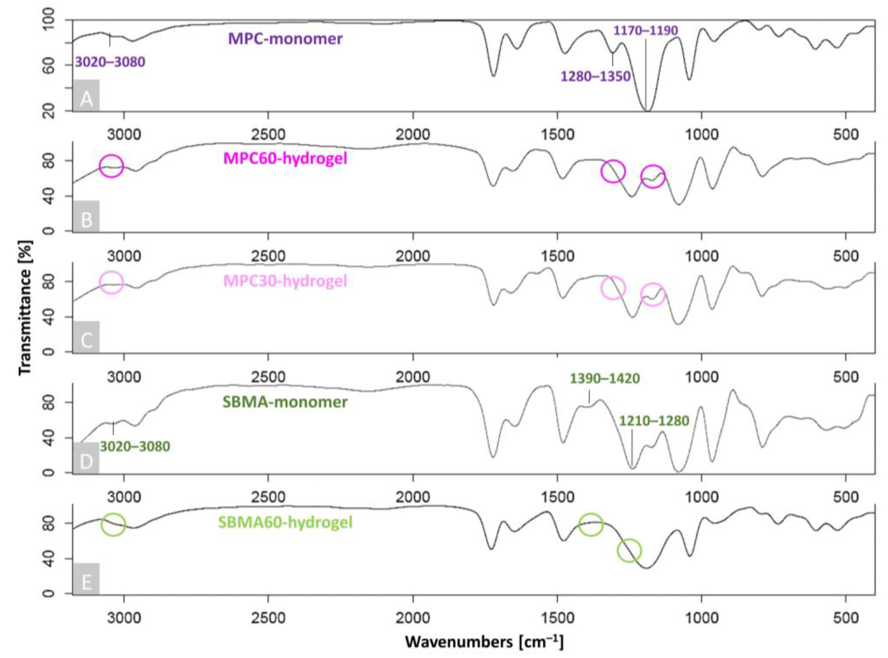 Bioengineering 10 00767 g001 Bioengineering 10 00767 g001