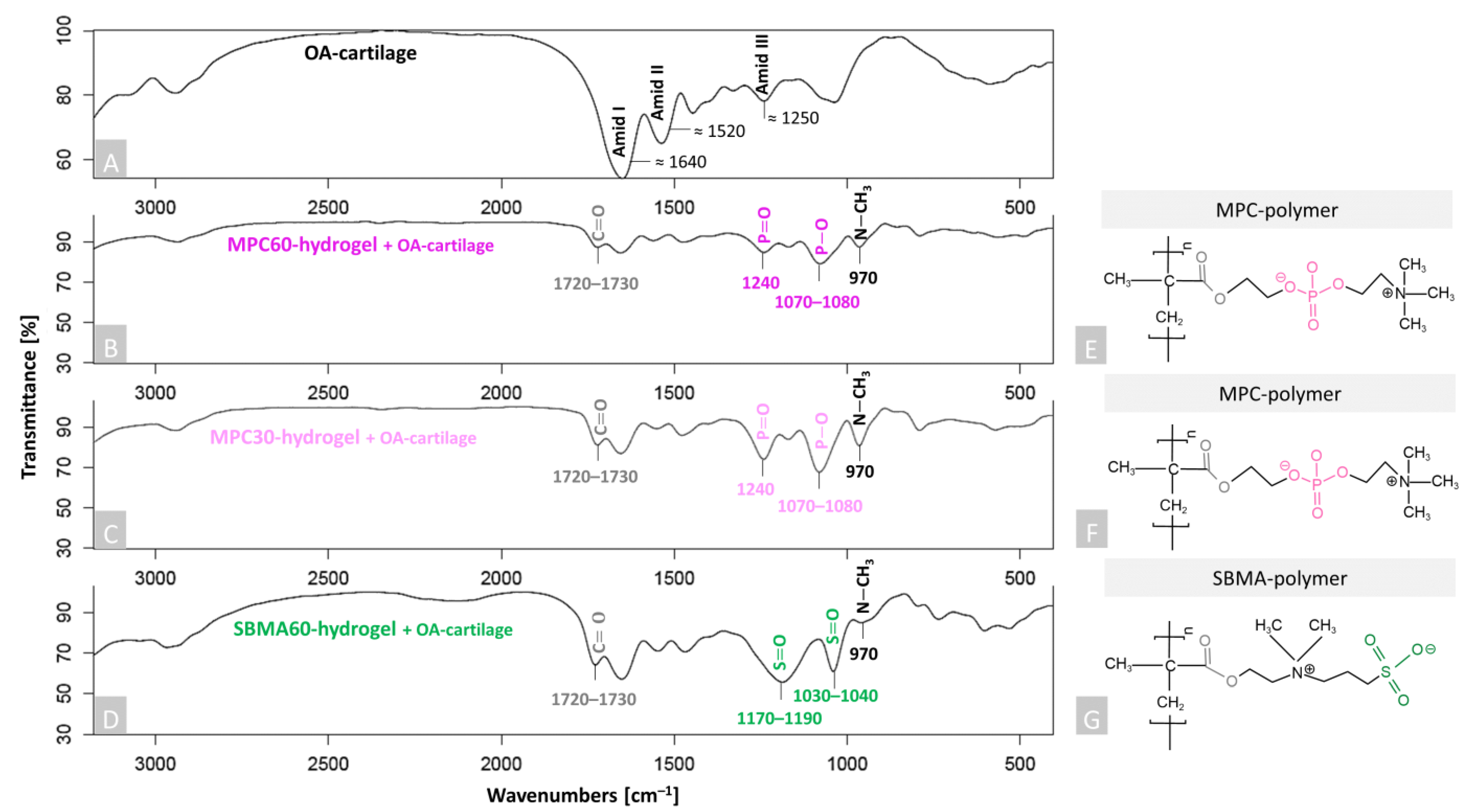 Bioengineering 10 00767 g002 Bioengineering 10 00767 g002