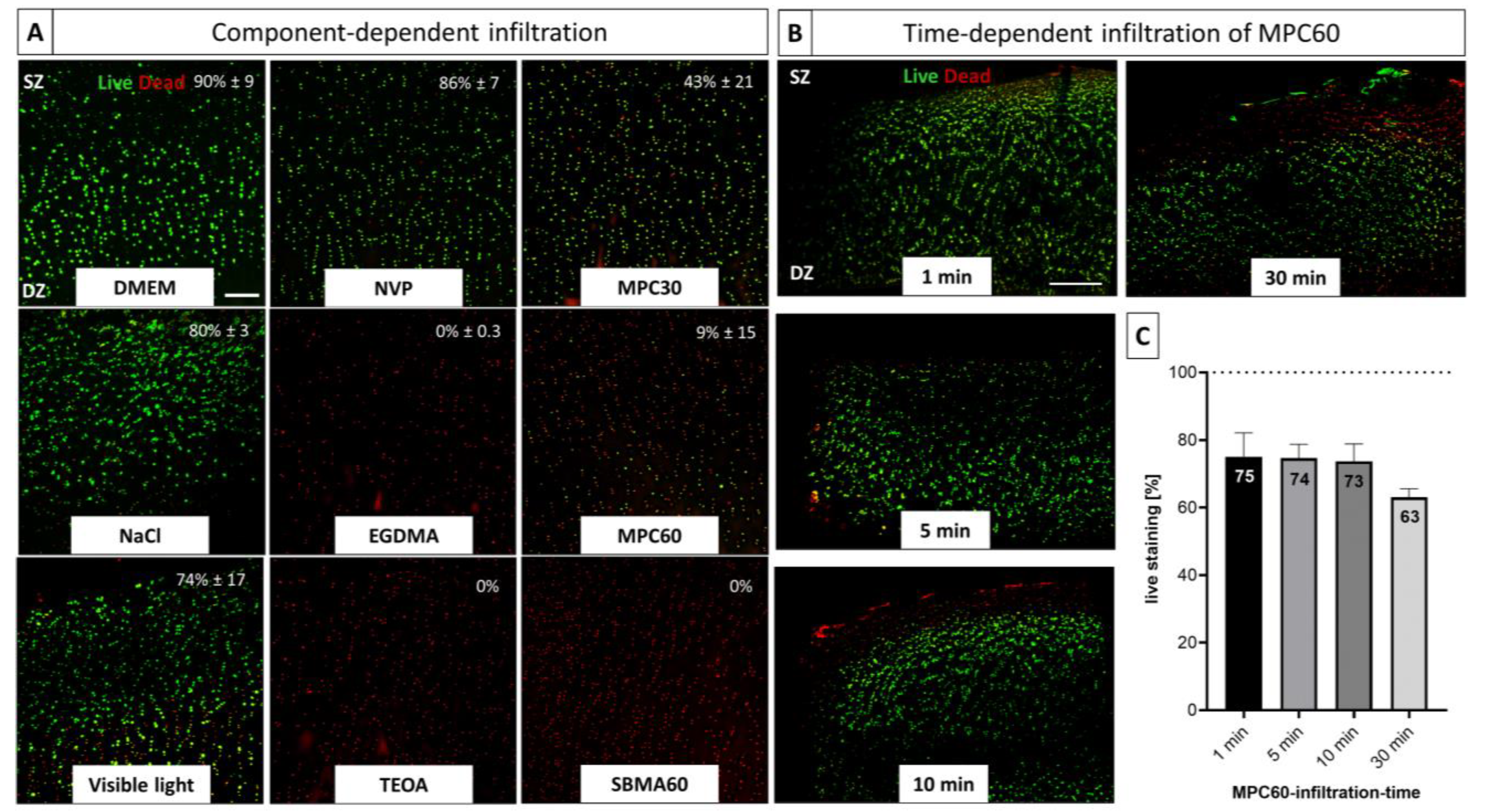 Bioengineering 10 00767 g007 Bioengineering 10 00767 g007