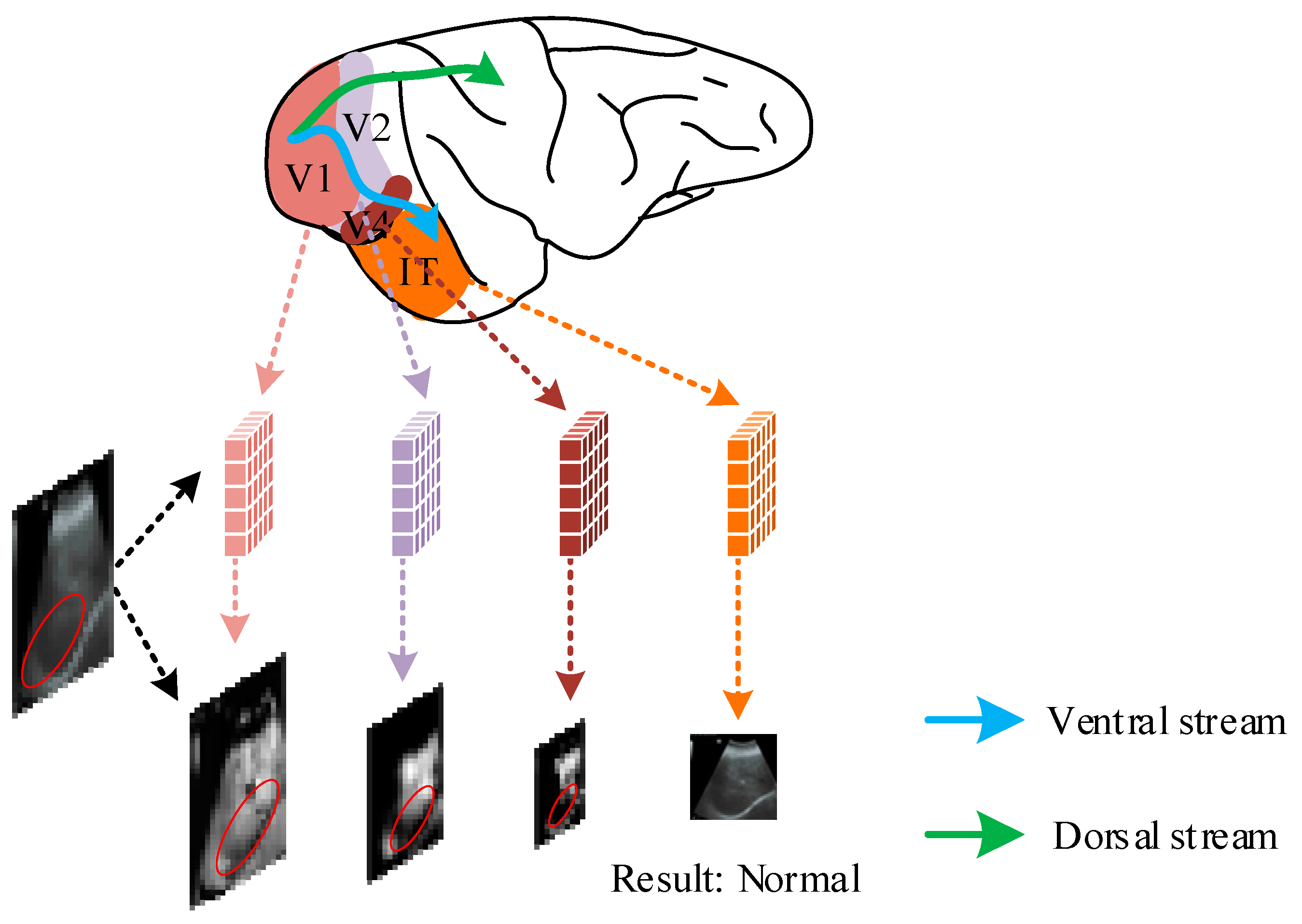 Bioengineering 10 00768 g001