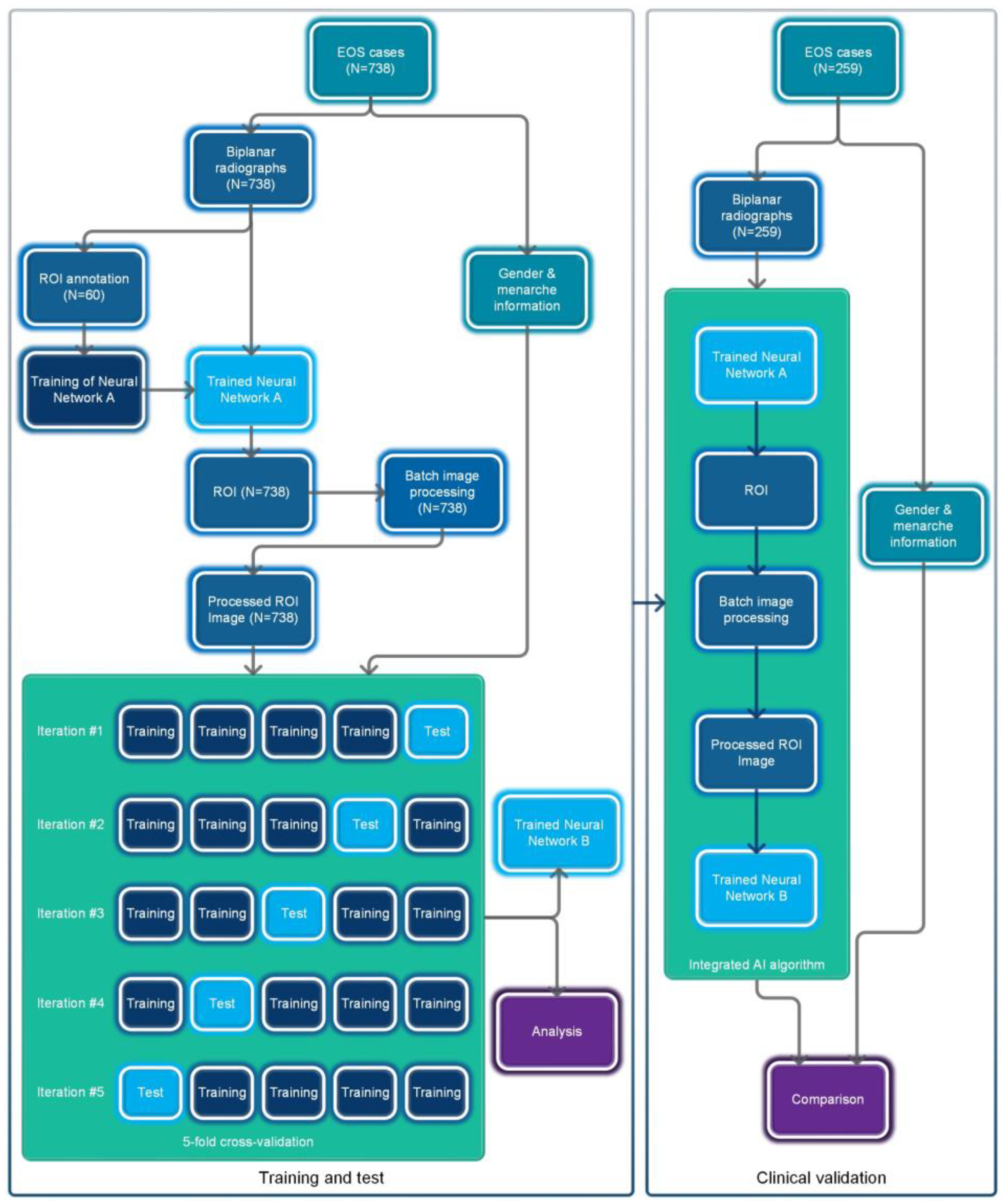 Bioengineering 10 00769 g001 Bioengineering 10 00769 g001