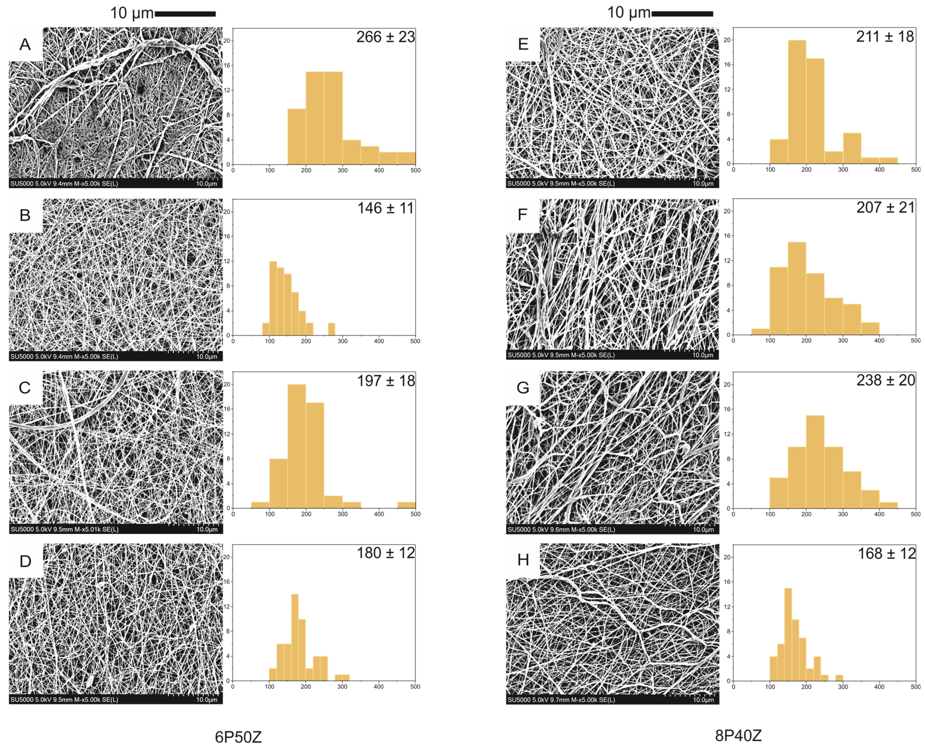 Bioengineering 10 00771 g001