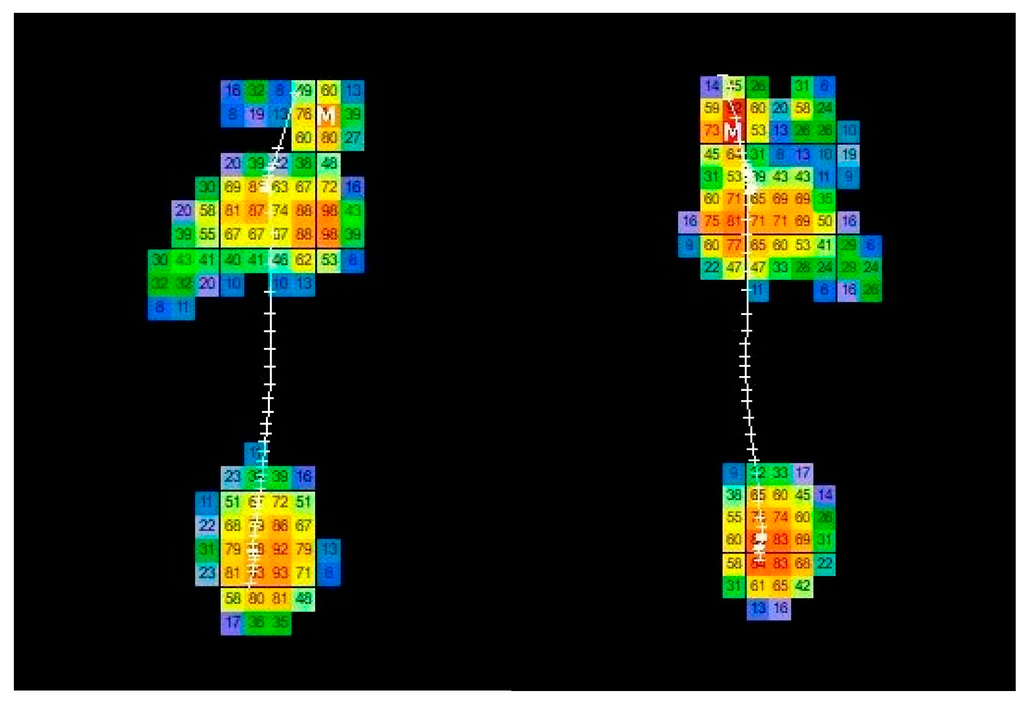 Bioengineering 10 00772 g001 Bioengineering 10 00772 g001