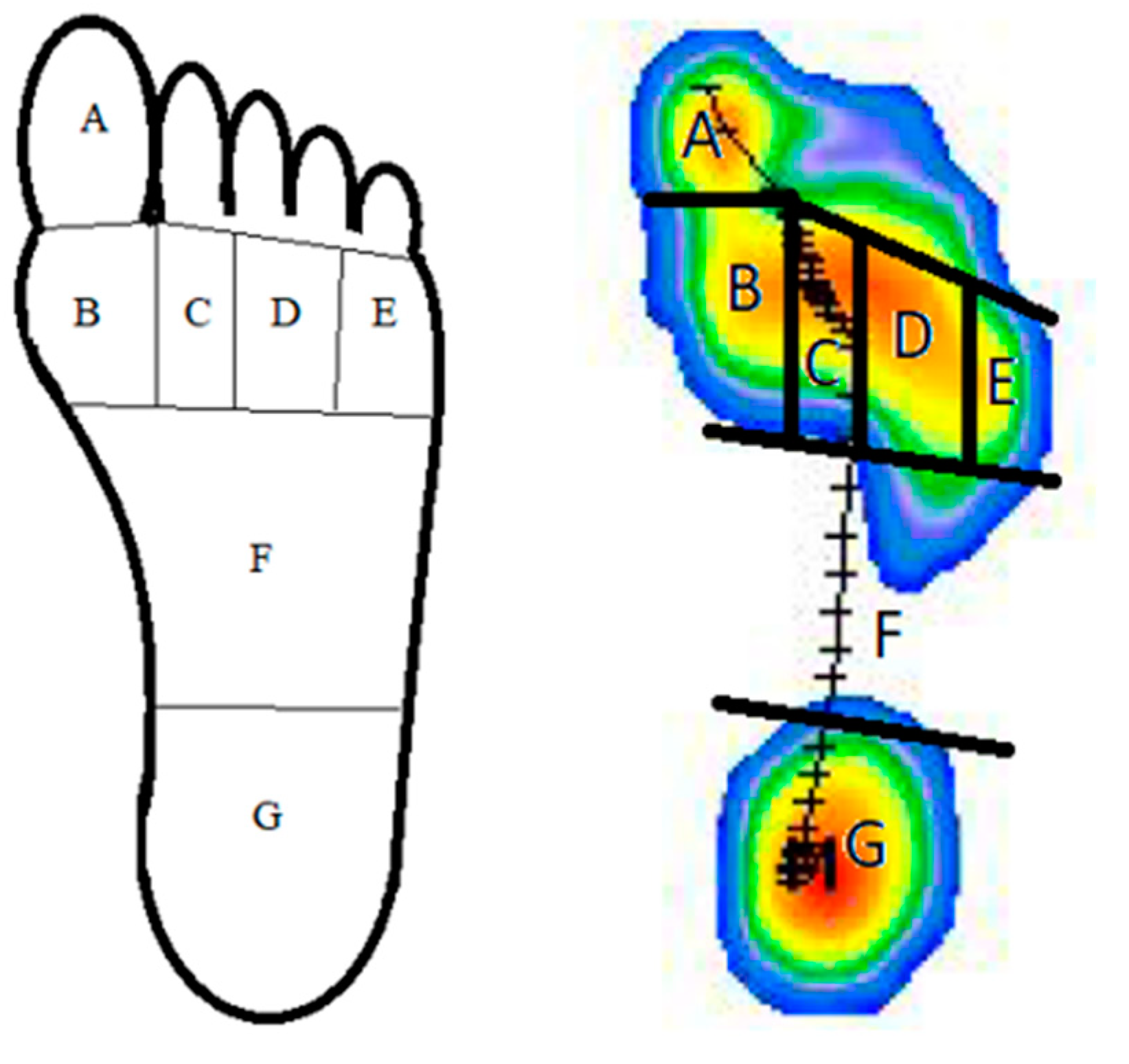 Bioengineering 10 00772 g002 Bioengineering 10 00772 g002