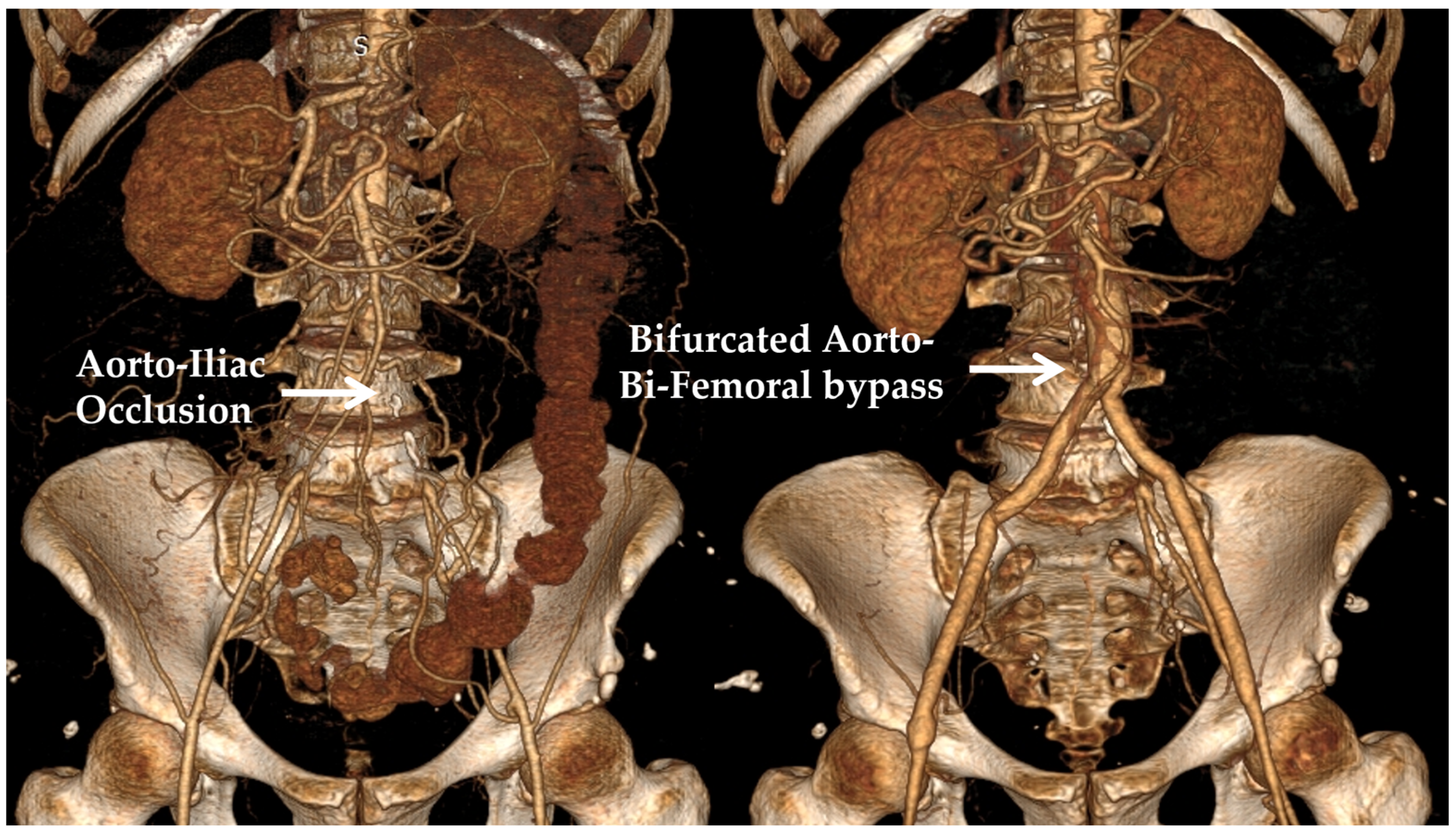 Bioengineering 10 00776 g001