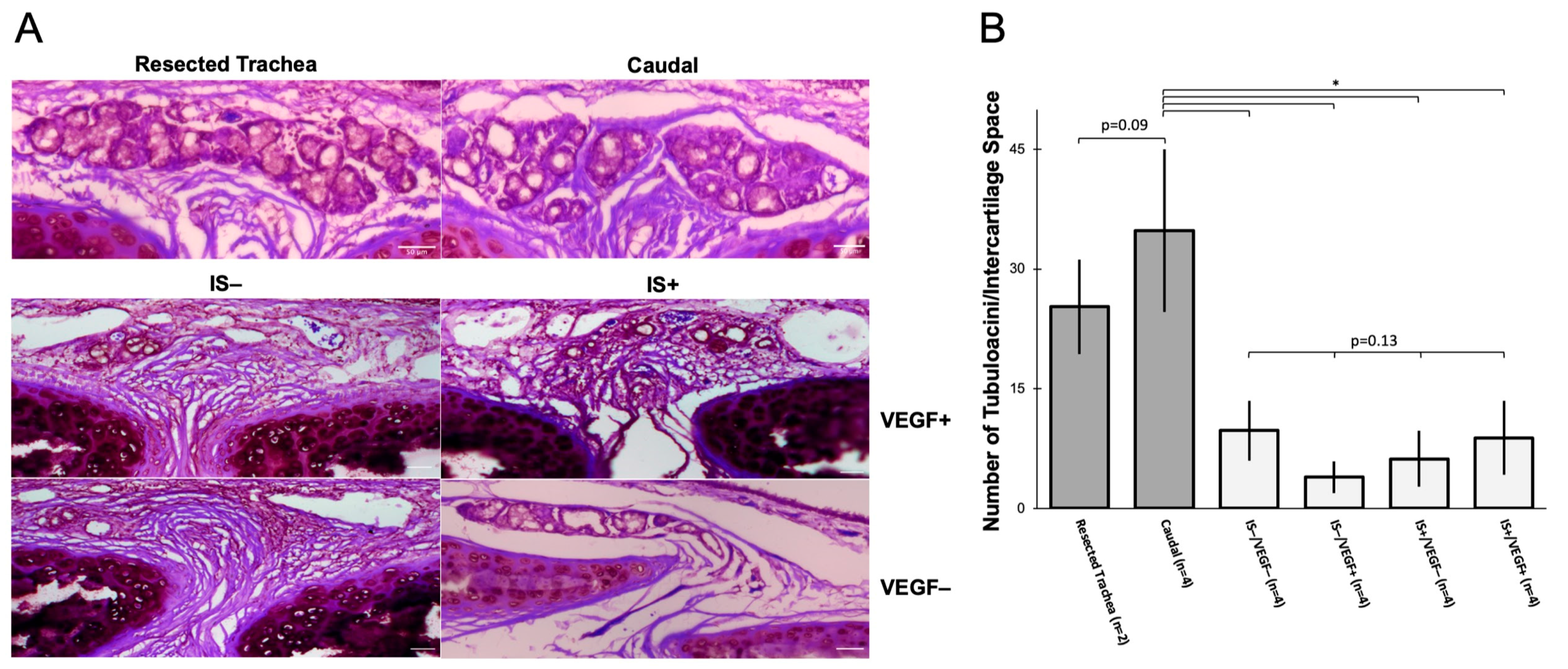 Bioengineering 10 00777 g005