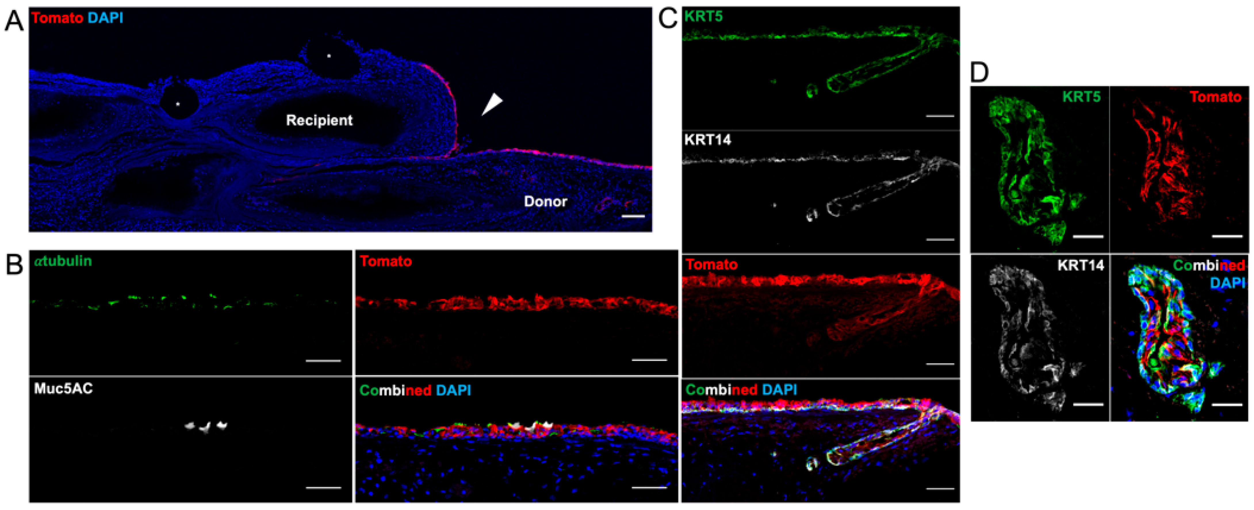 Bioengineering 10 00777 g007