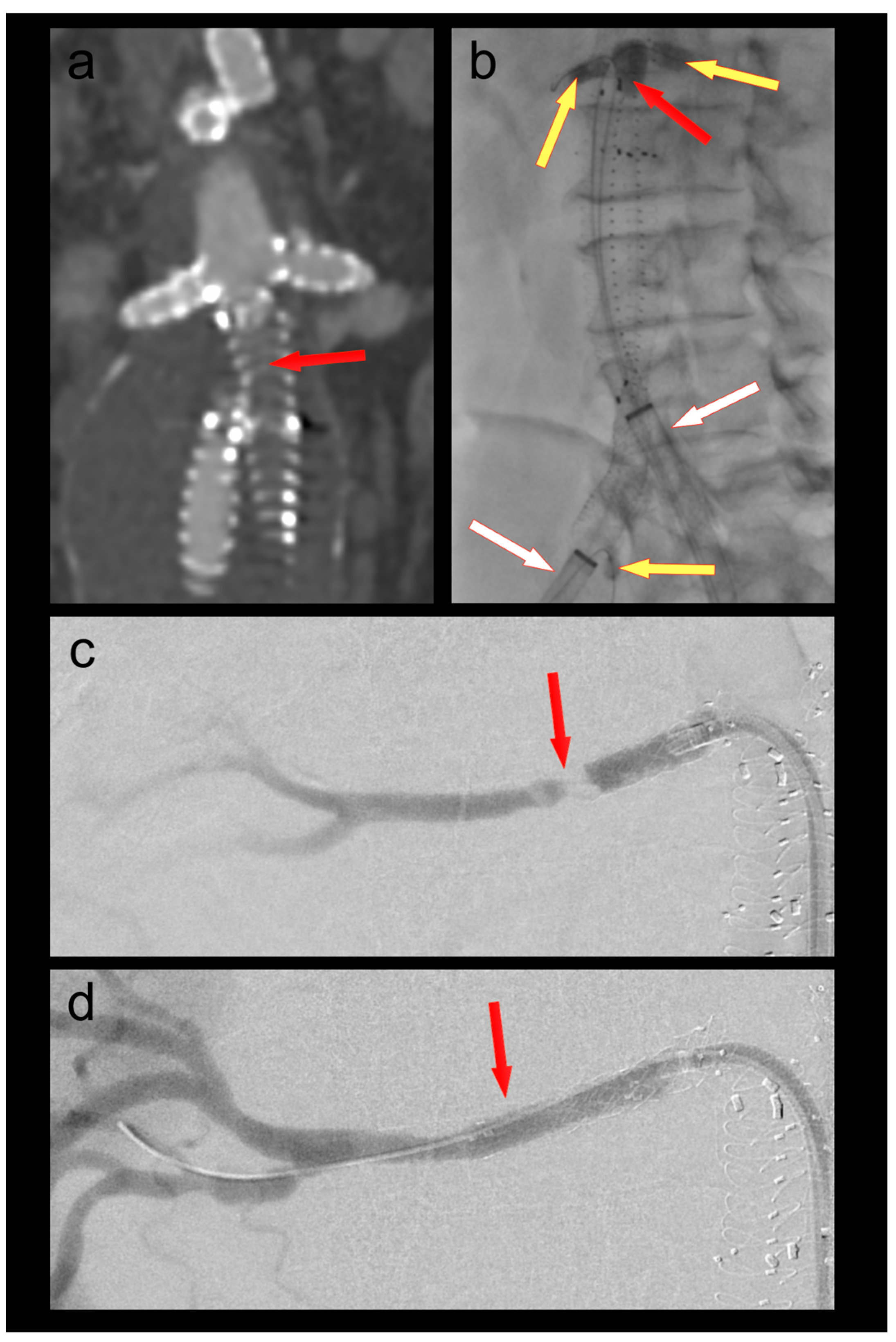Bioengineering 10 00778 g001