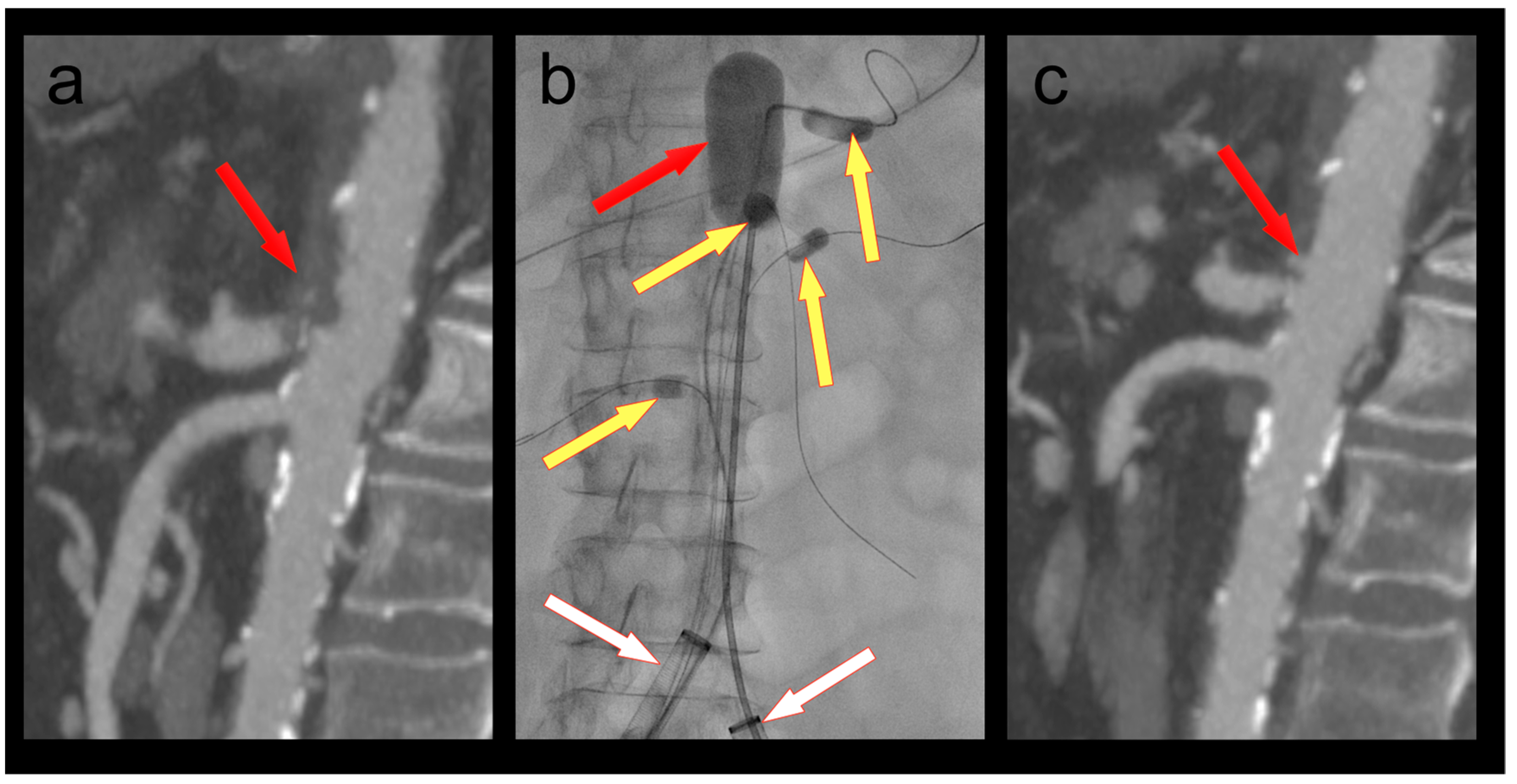 Bioengineering 10 00778 g002