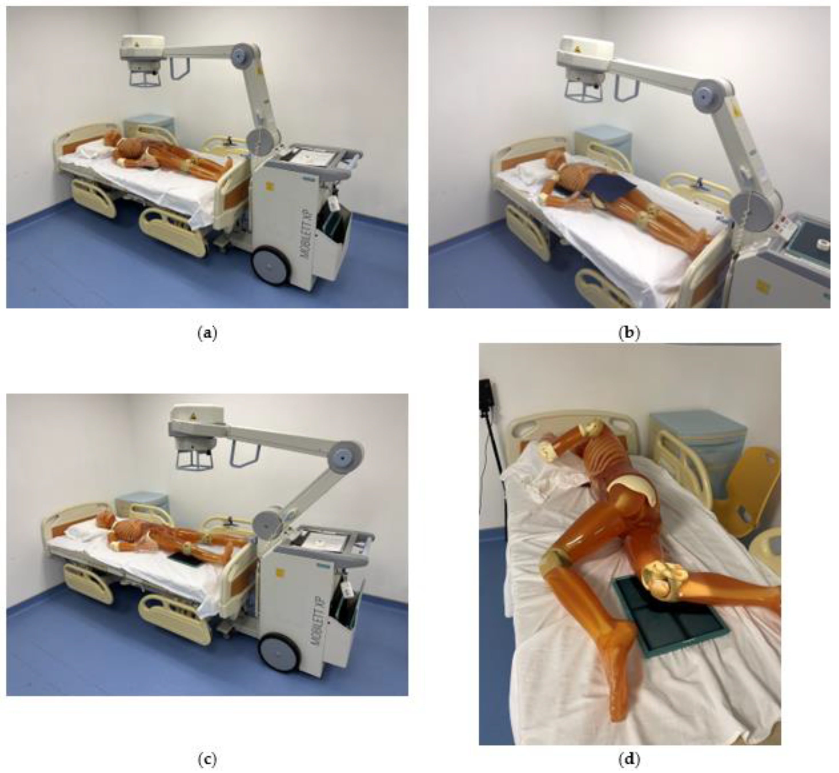 Bioengineering 10 00779 g001