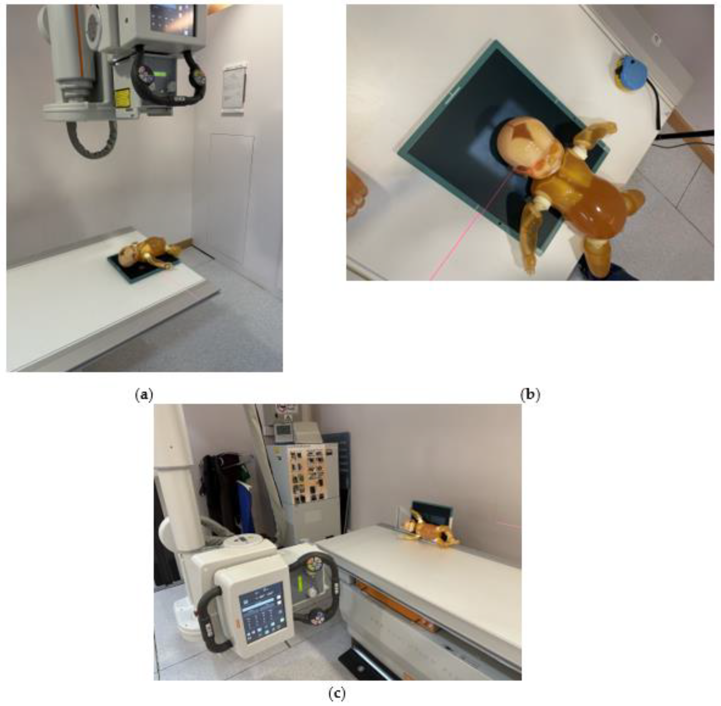 Bioengineering 10 00779 g003