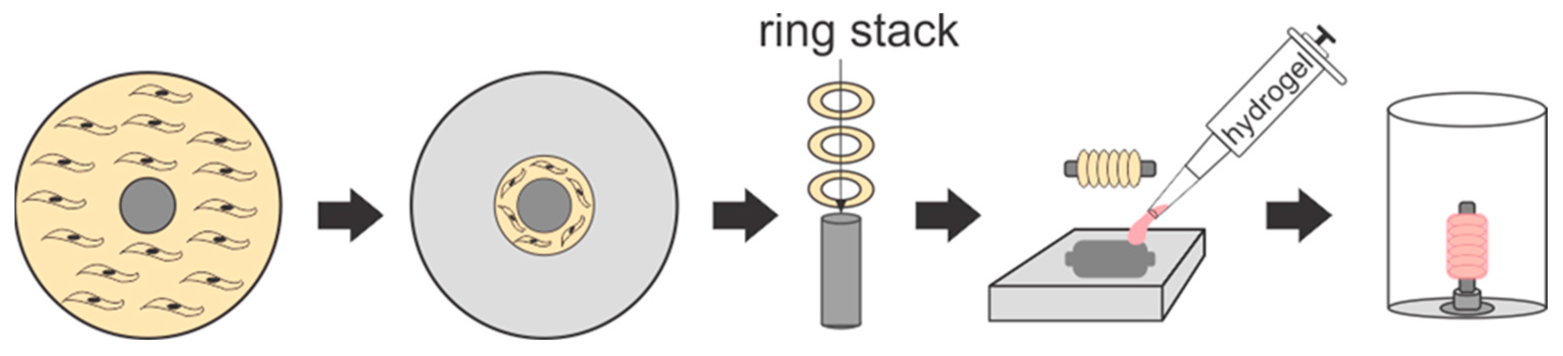 Bioengineering 10 00780 g001
