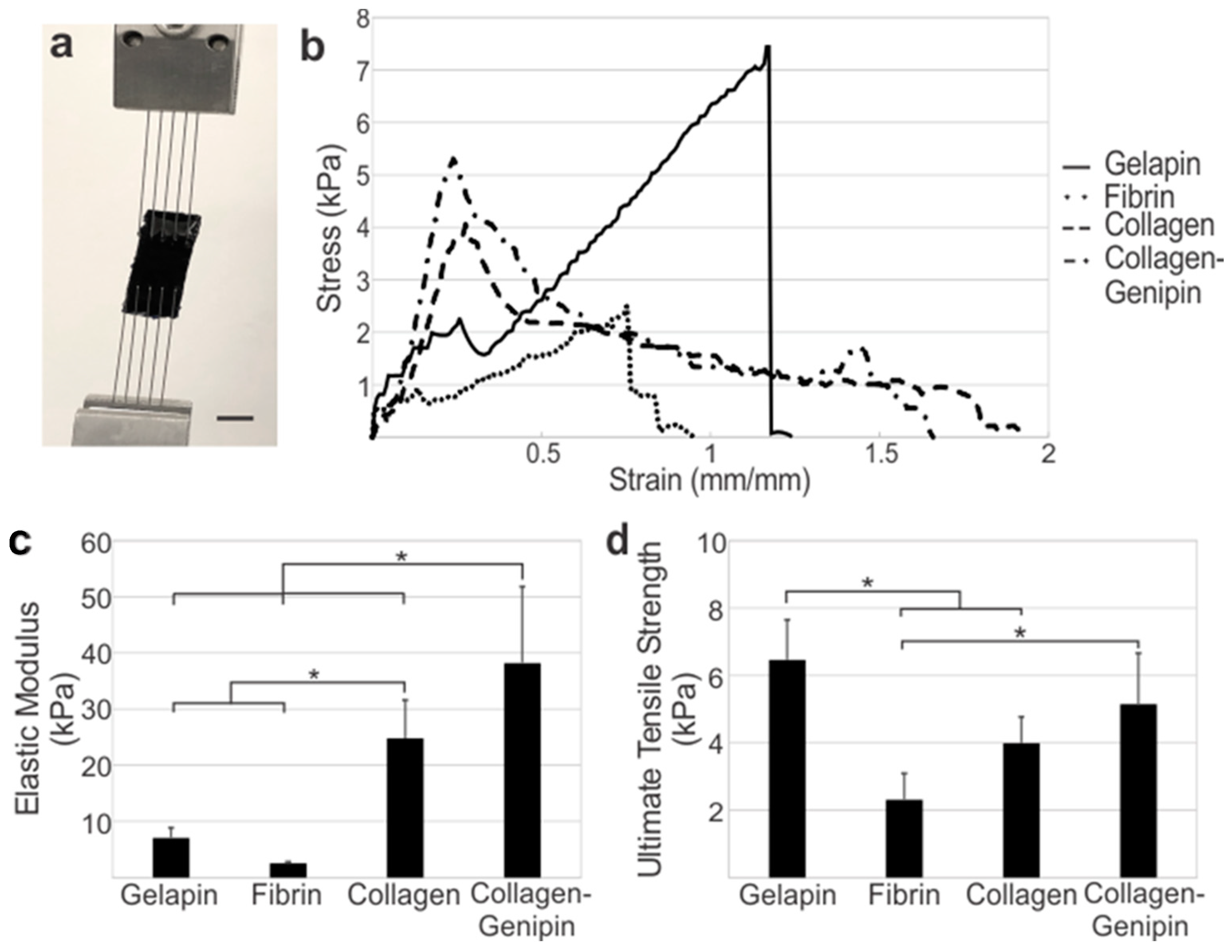Bioengineering 10 00780 g002