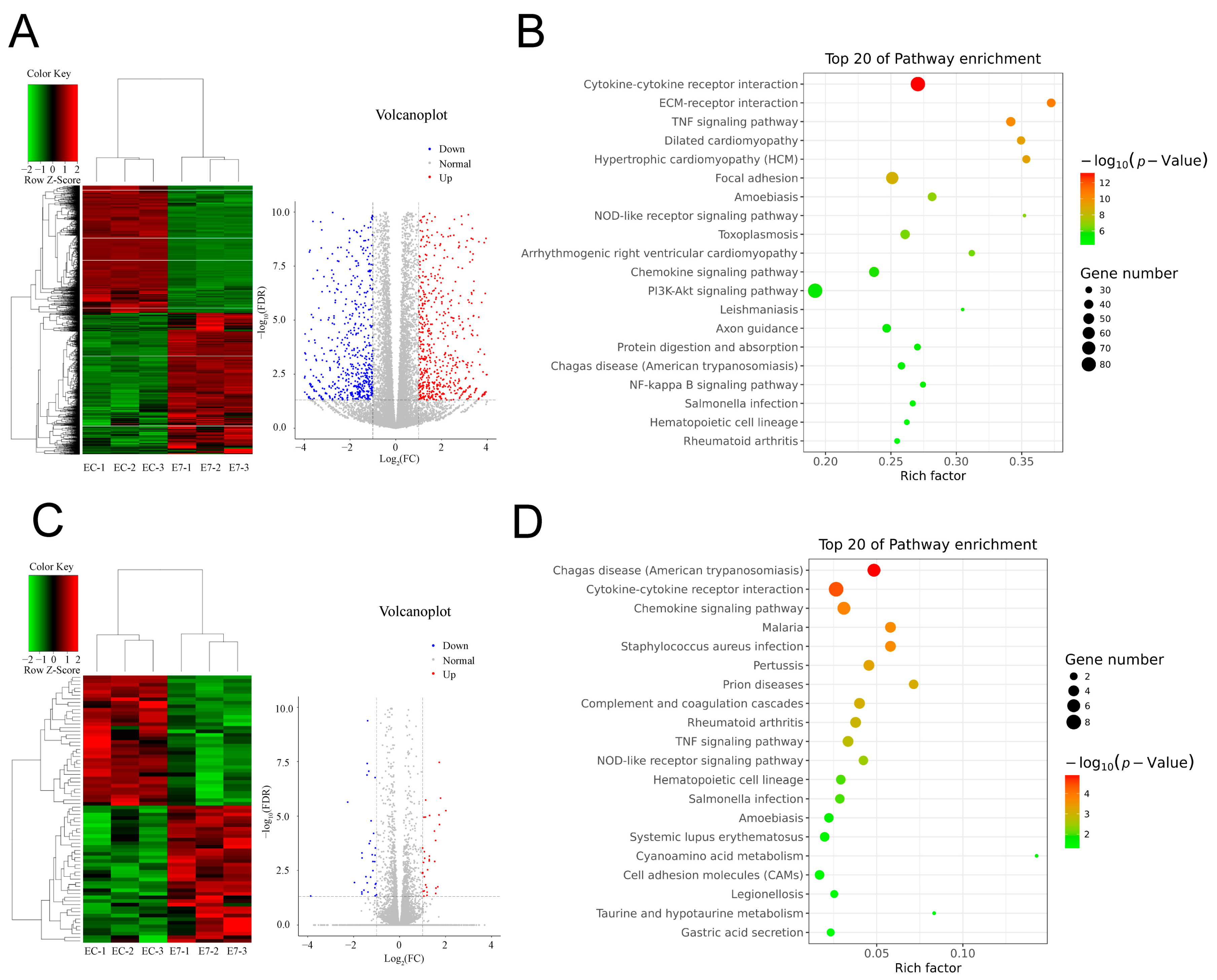 Bioengineering 10 00781 g004
