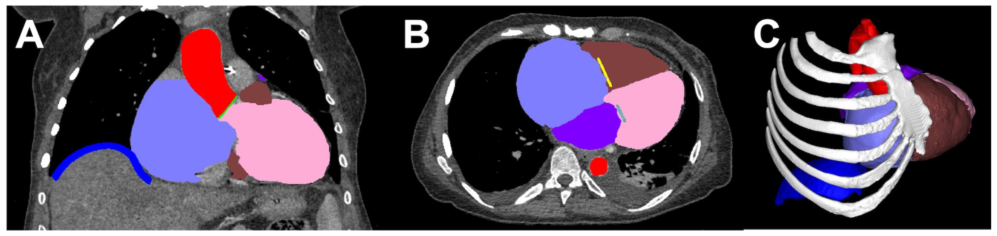 Bioengineering 10 00782 g003