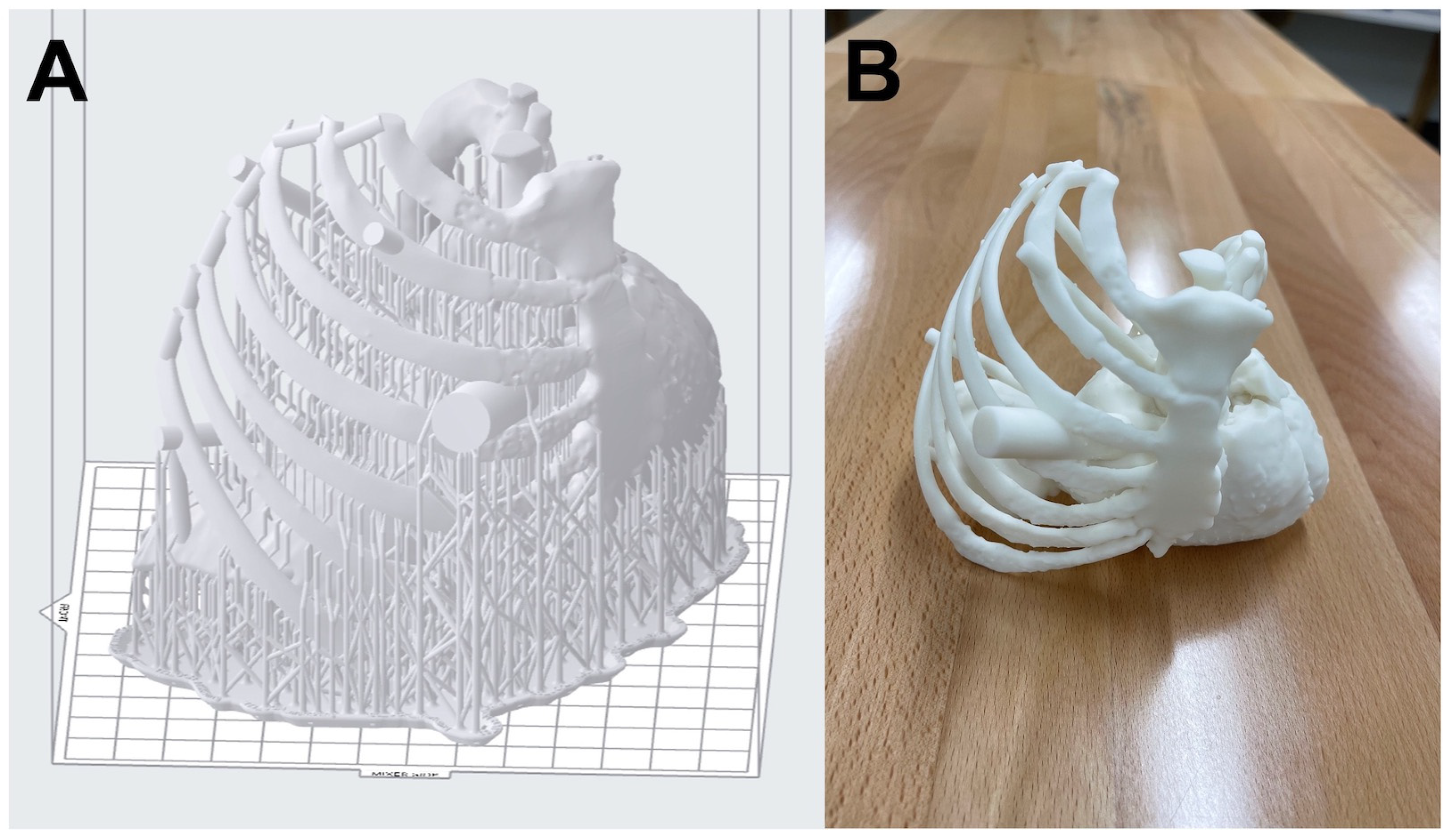 Bioengineering 10 00782 g005