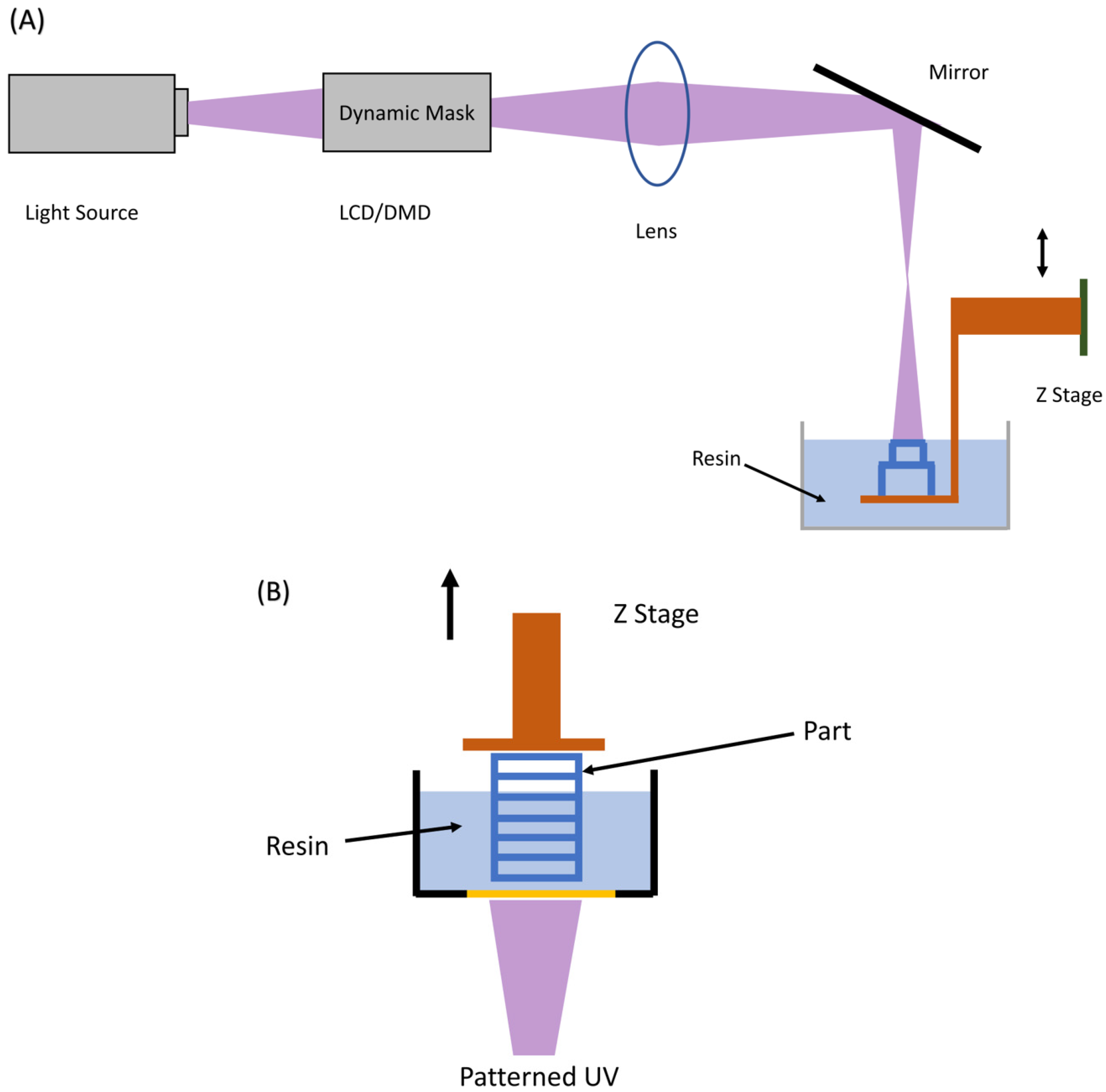 Bioengineering 10 00782 g007