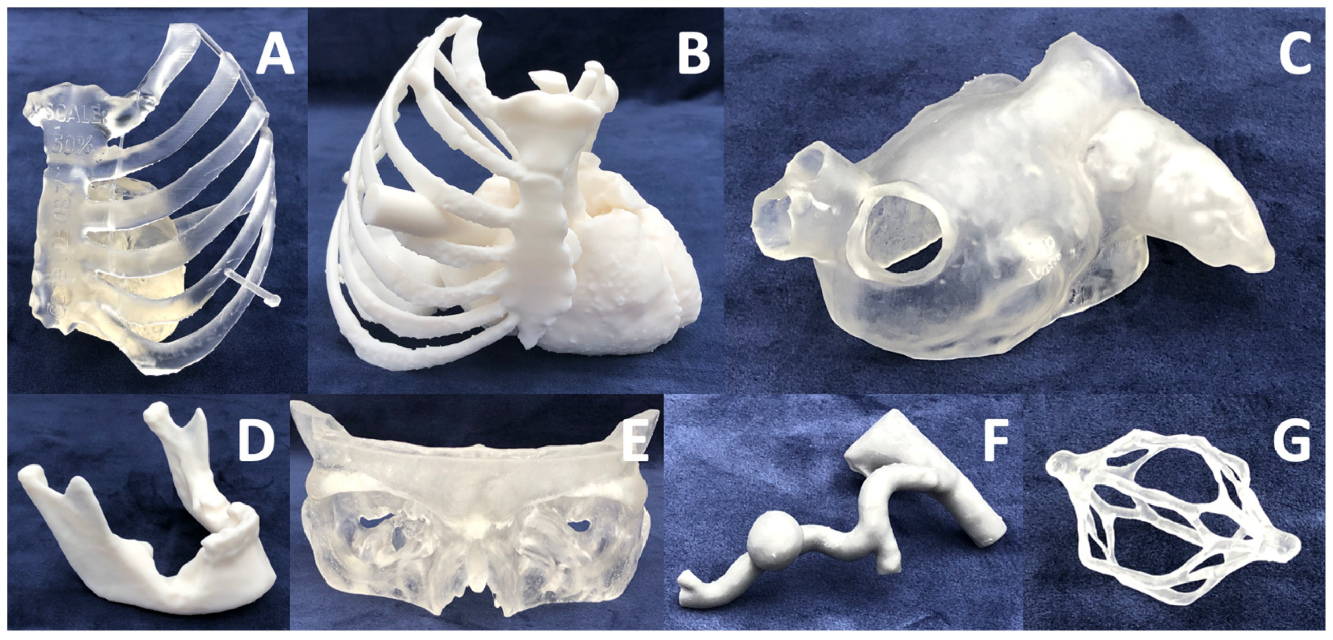 Bioengineering 10 00782 g011