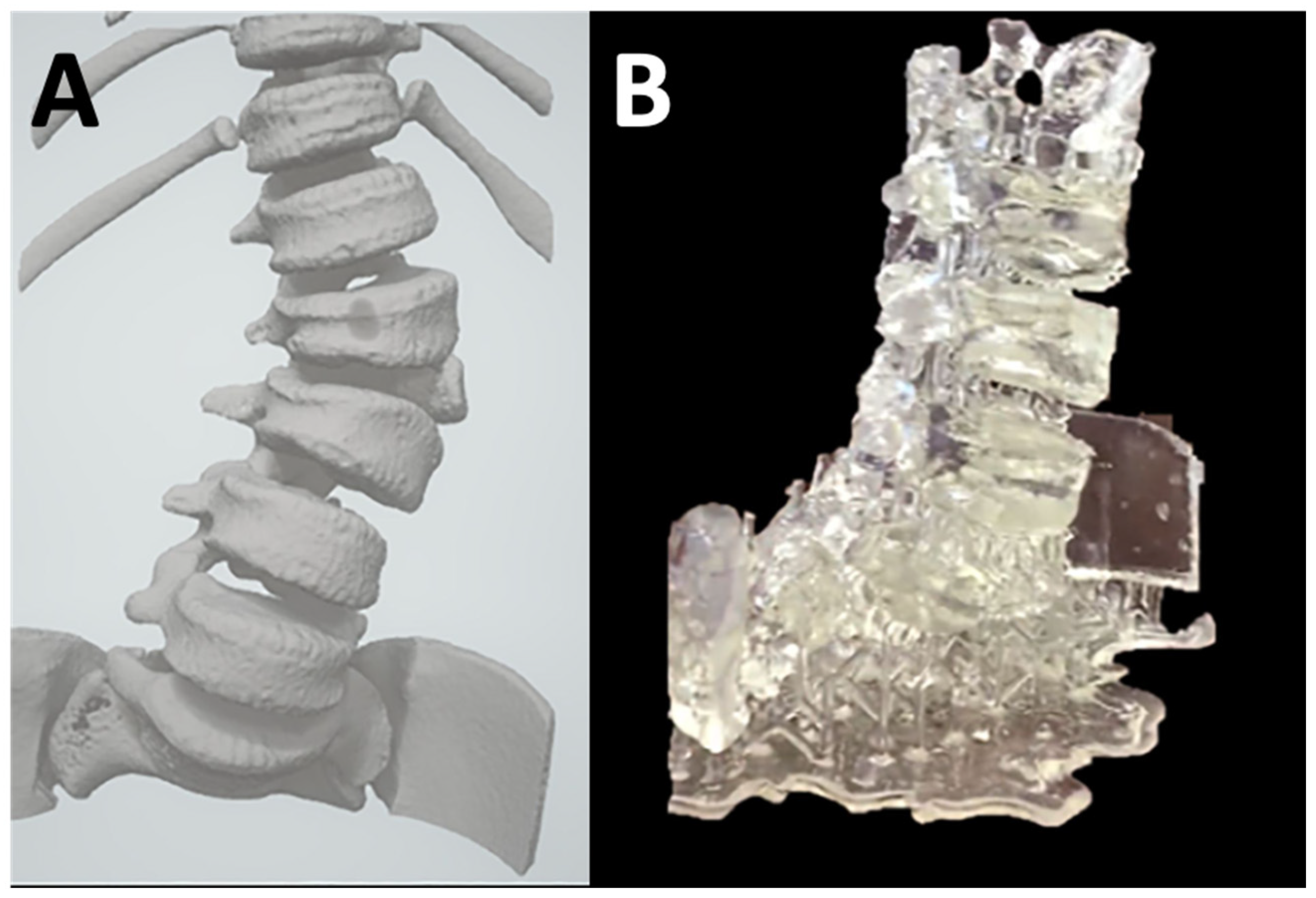 Bioengineering 10 00782 g012