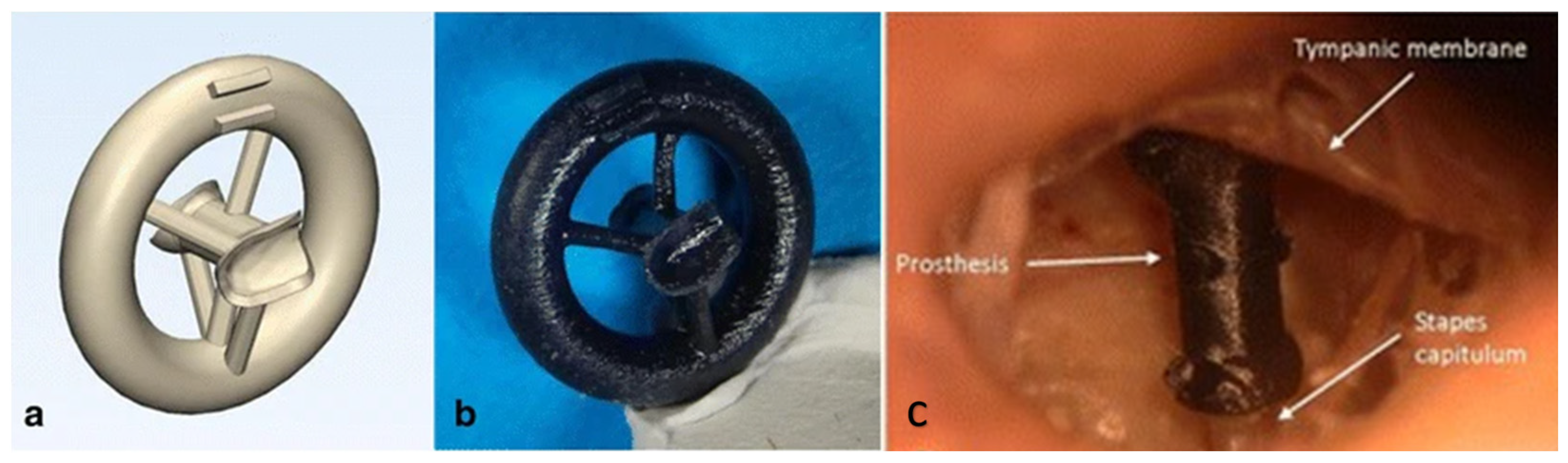 Bioengineering 10 00782 g015