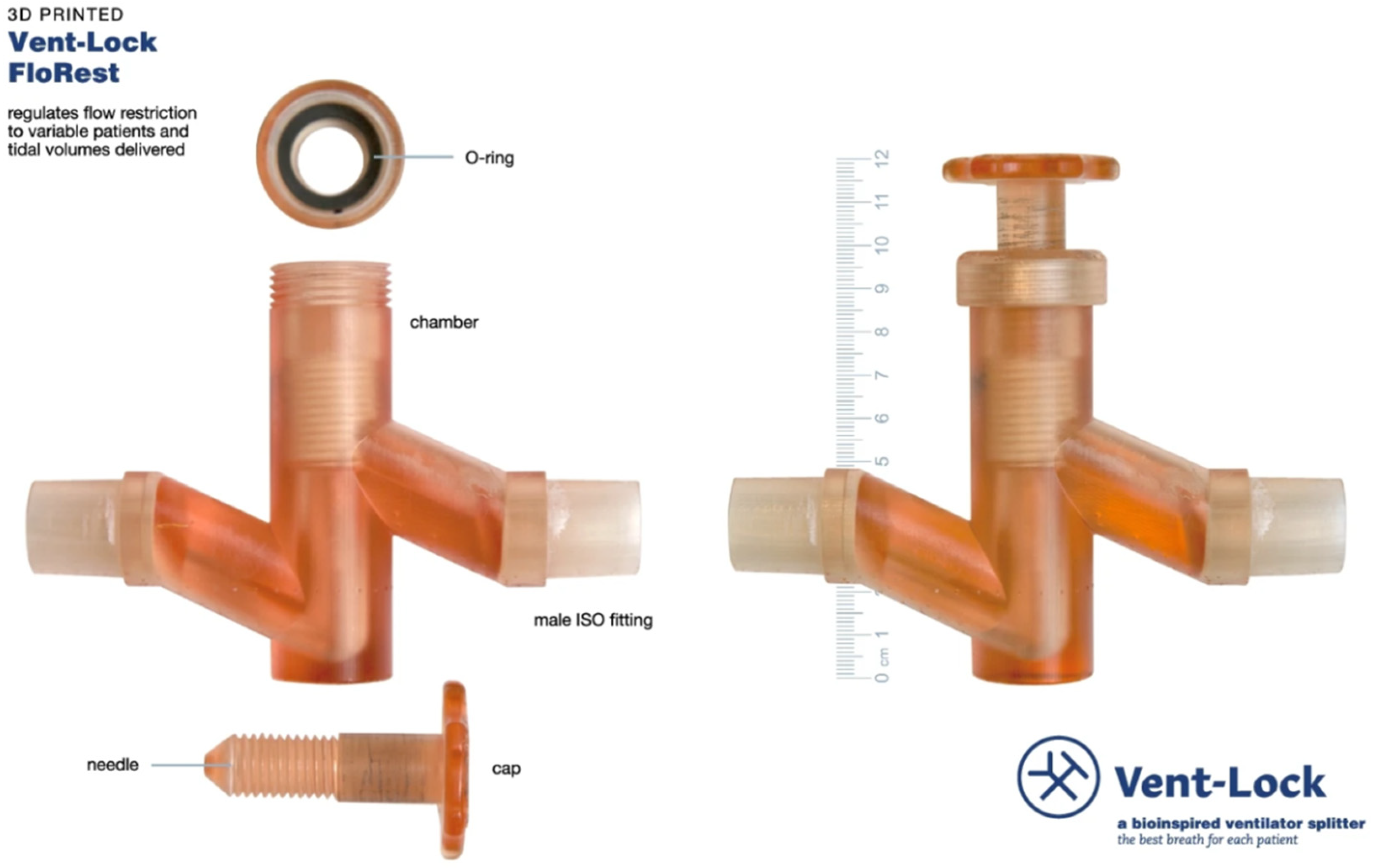 Bioengineering 10 00782 g017
