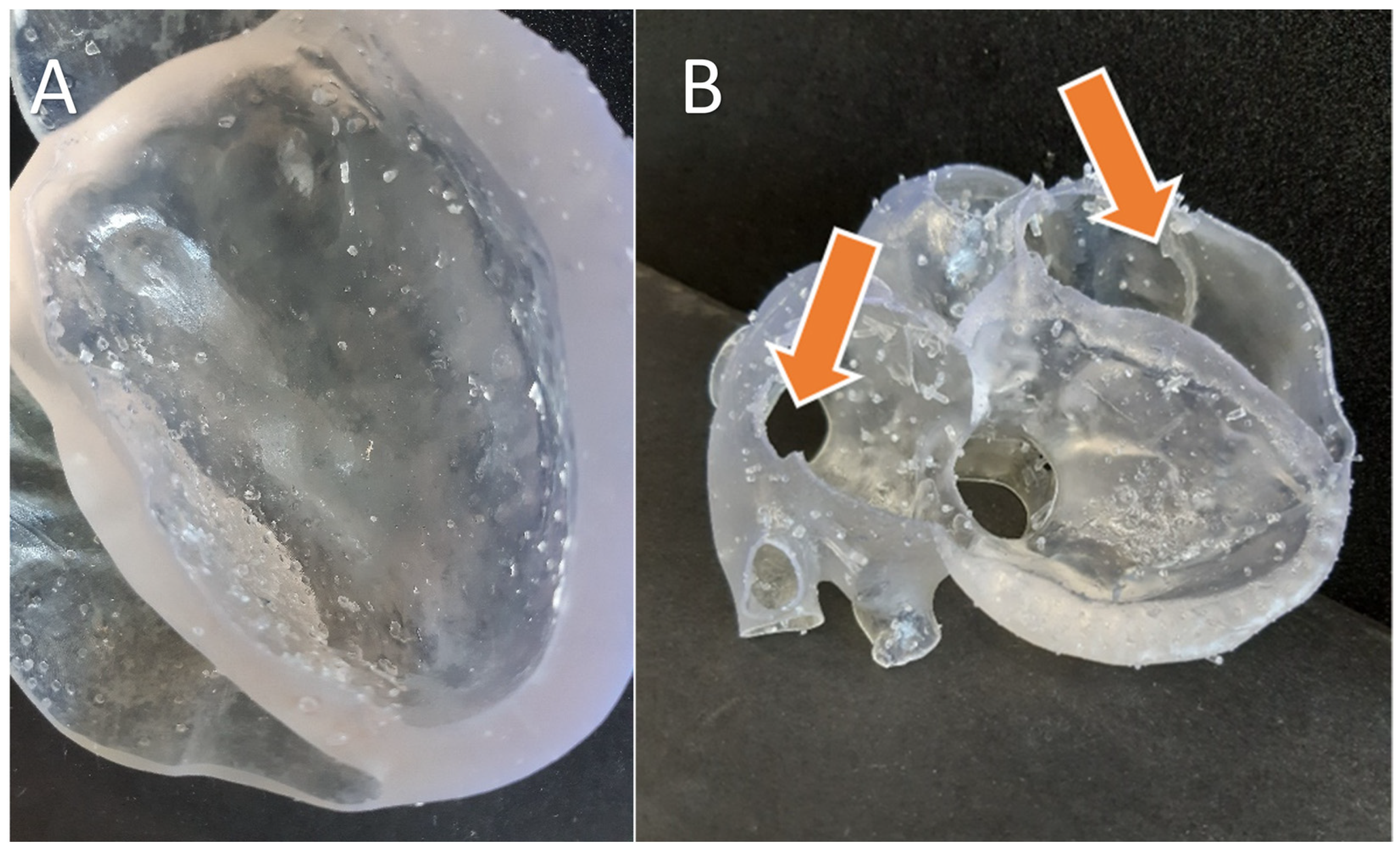 Bioengineering 10 00782 g019