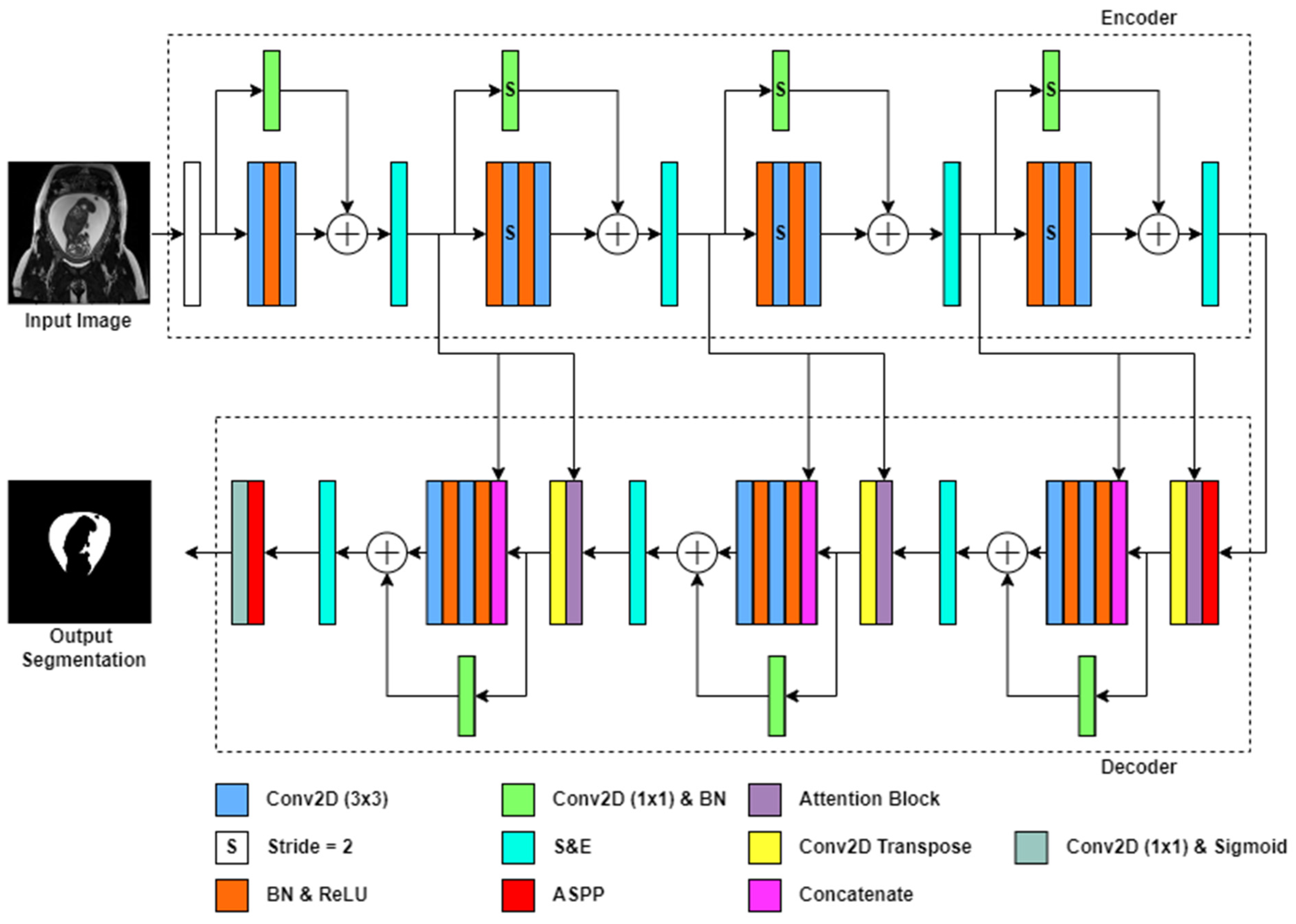 Bioengineering 10 00783 g001