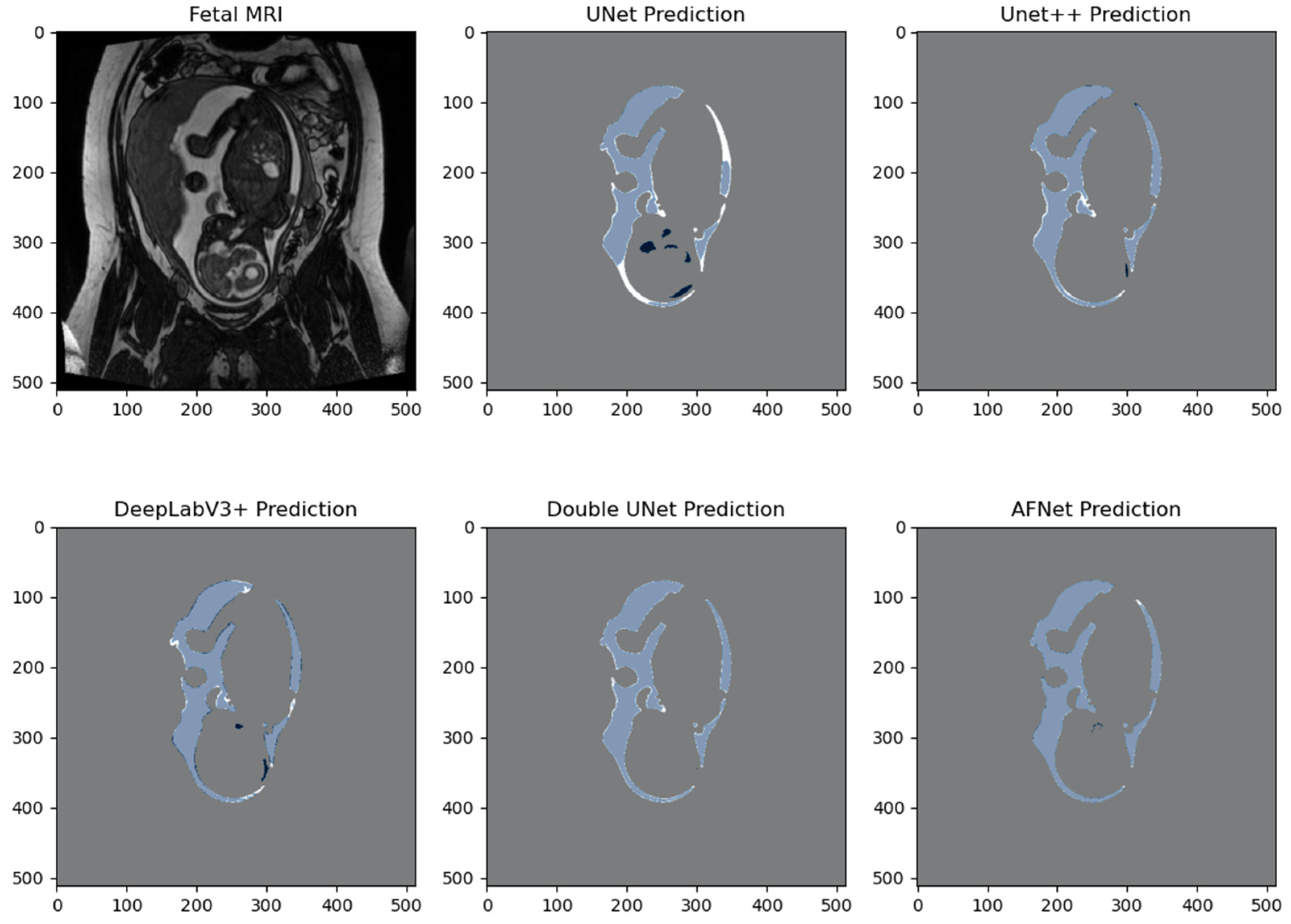 Bioengineering 10 00783 g005