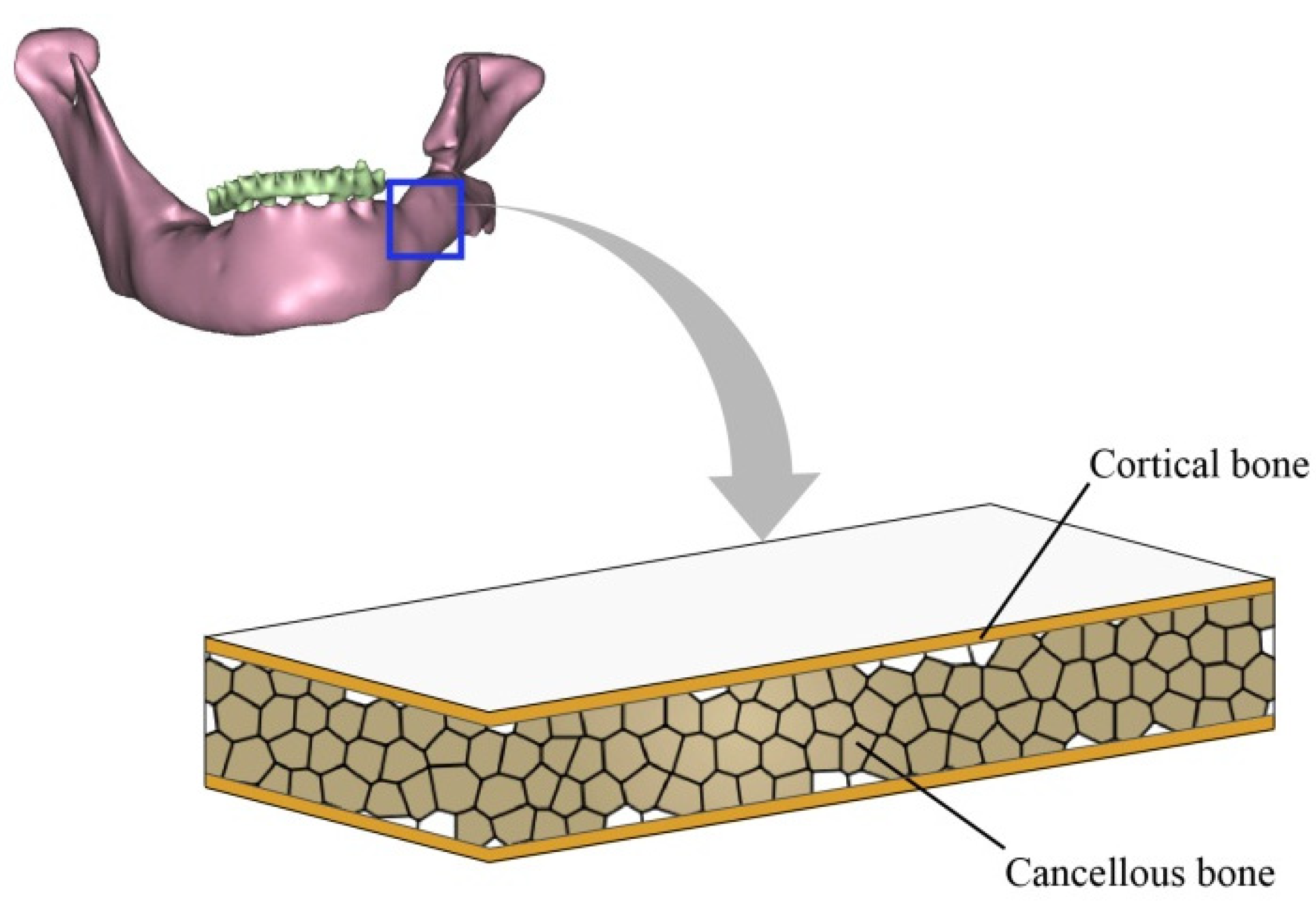 Bioengineering 10 00786 g002 Bioengineering 10 00786 g002