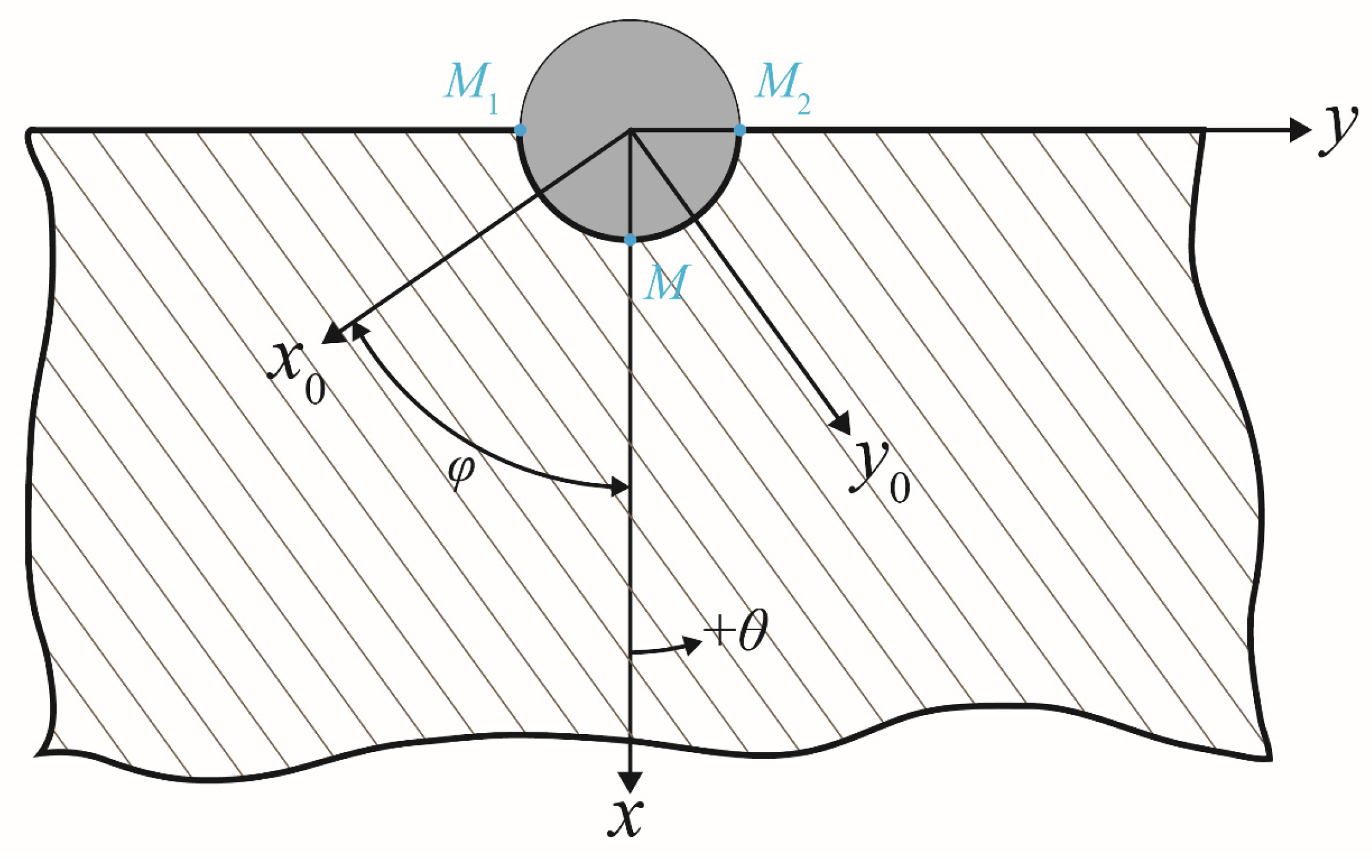 Bioengineering 10 00786 g003 Bioengineering 10 00786 g003