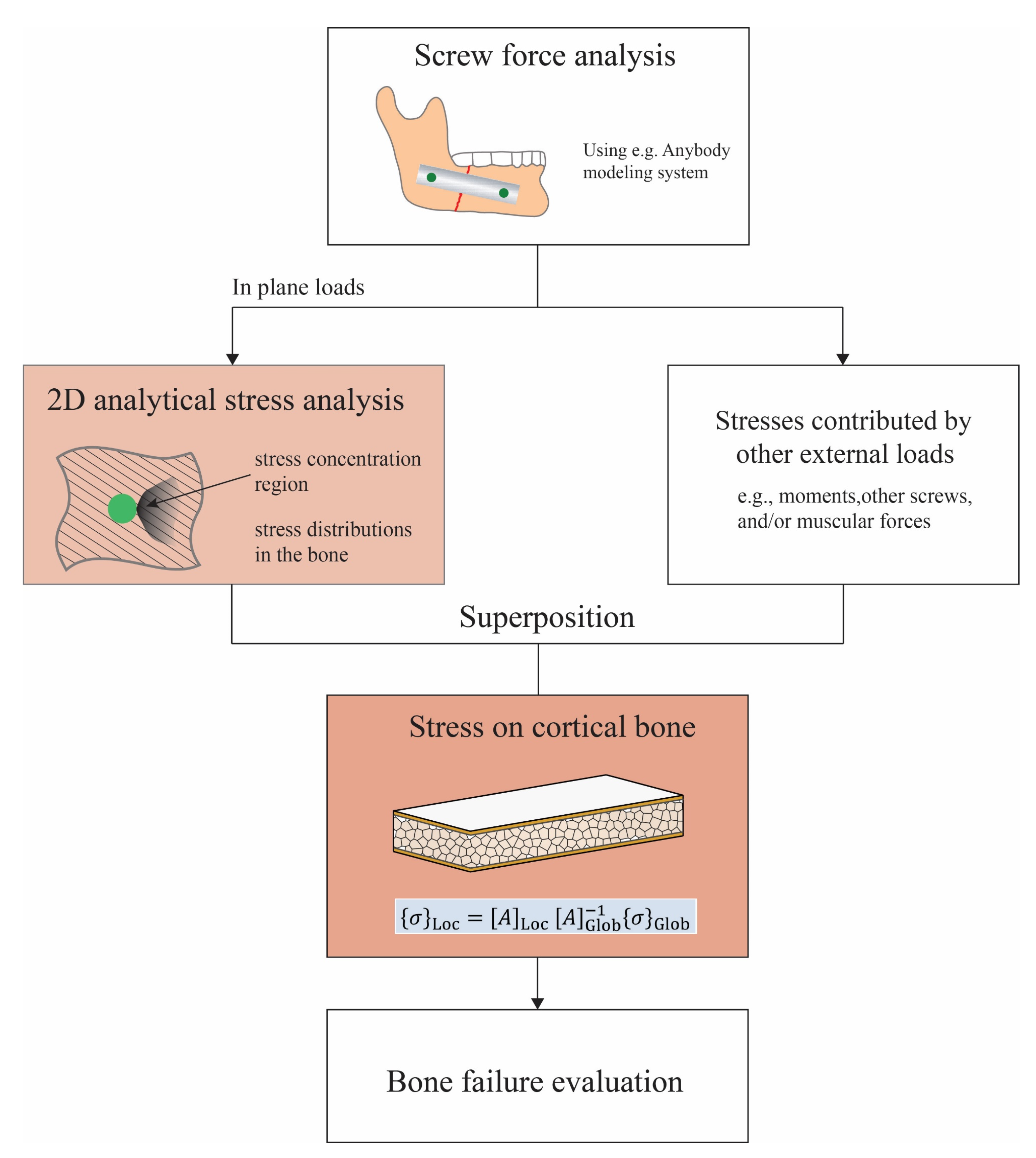 Bioengineering 10 00786 g007 Bioengineering 10 00786 g007