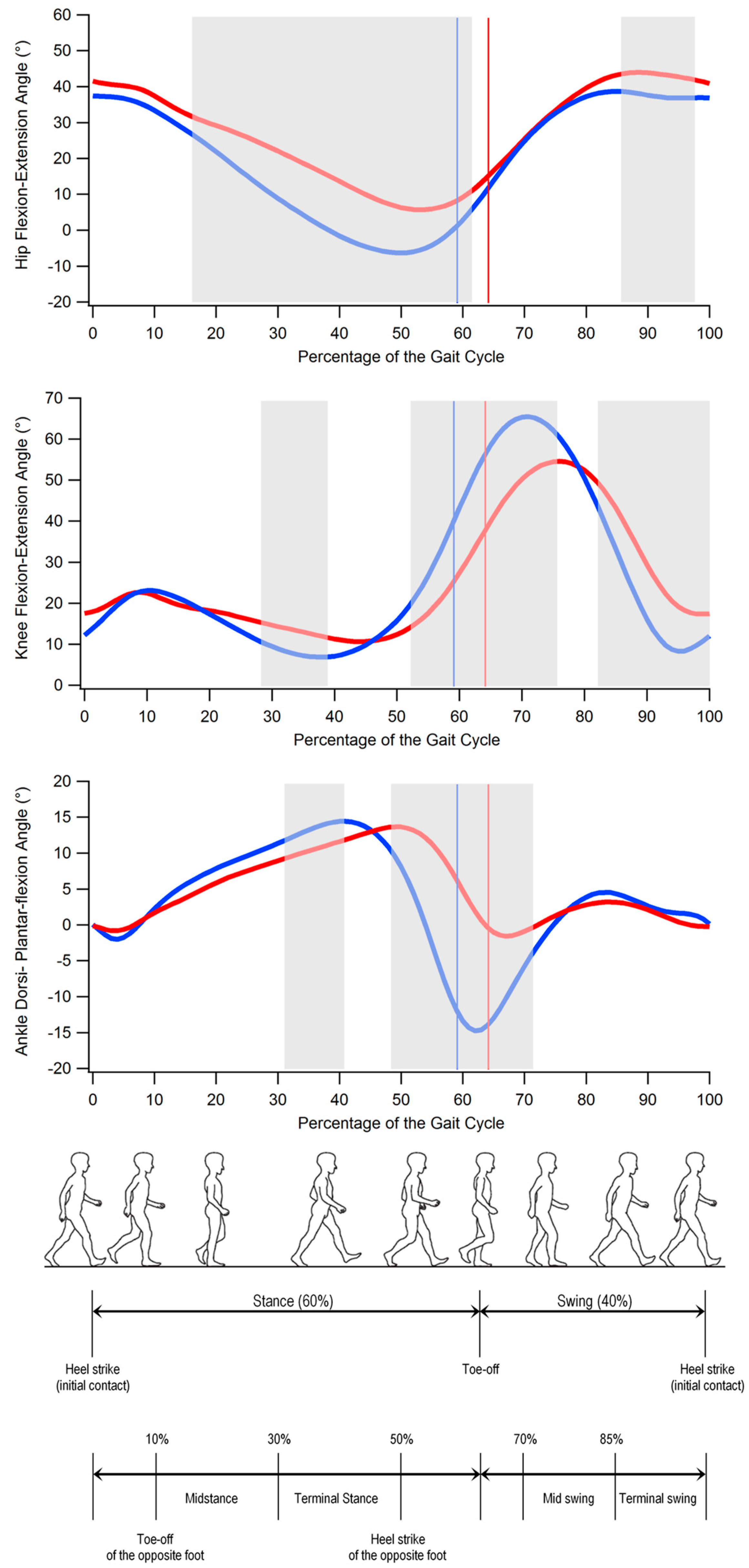 Bioengineering 10 00788 g001 Bioengineering 10 00788 g001