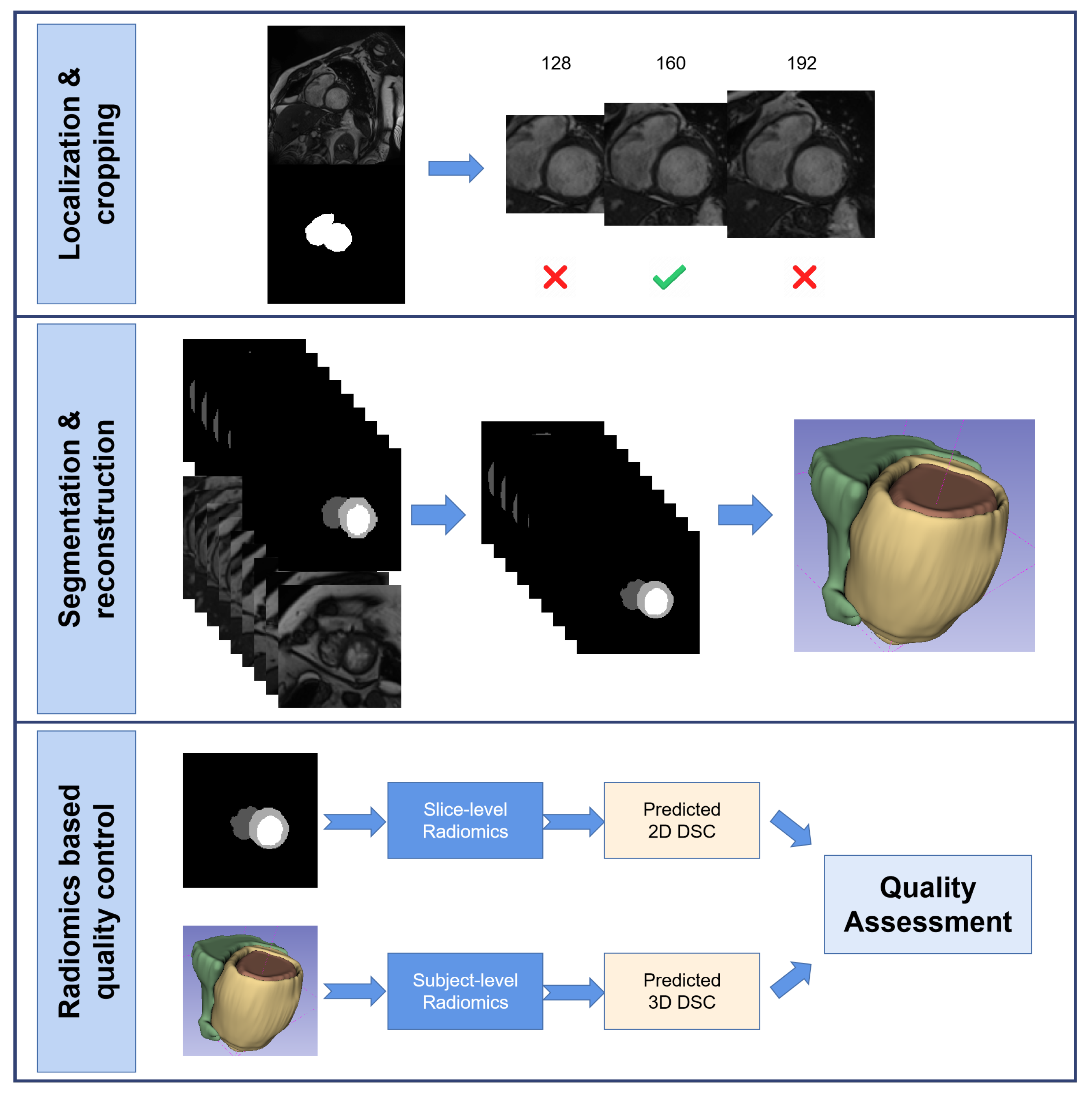 Bioengineering 10 00791 g001