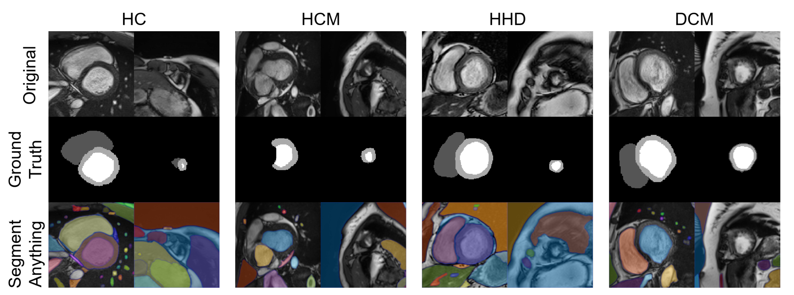 Bioengineering 10 00791 g010