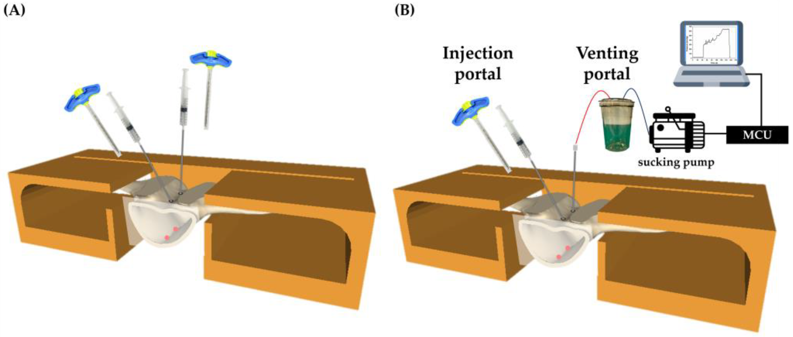 Bioengineering 10 00795 g003 Bioengineering 10 00795 g003