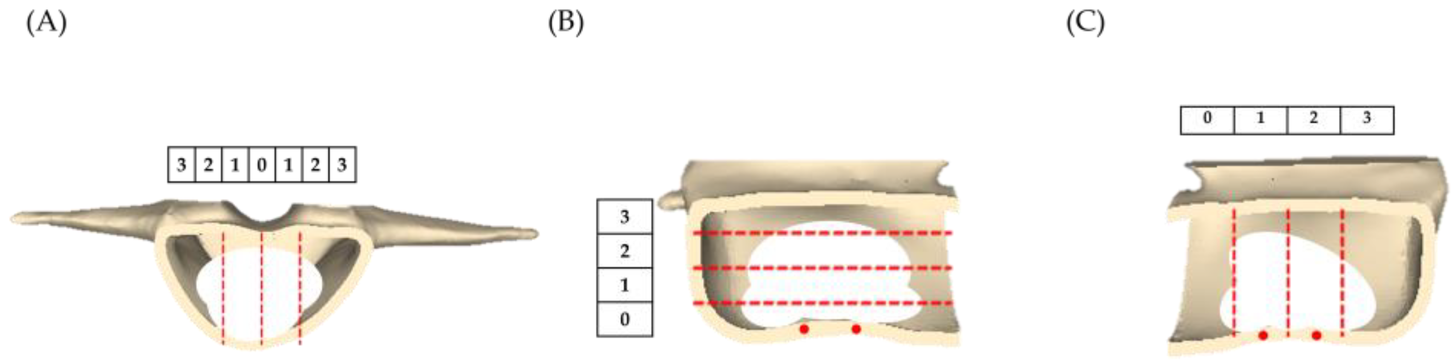 Bioengineering 10 00795 g004 Bioengineering 10 00795 g004