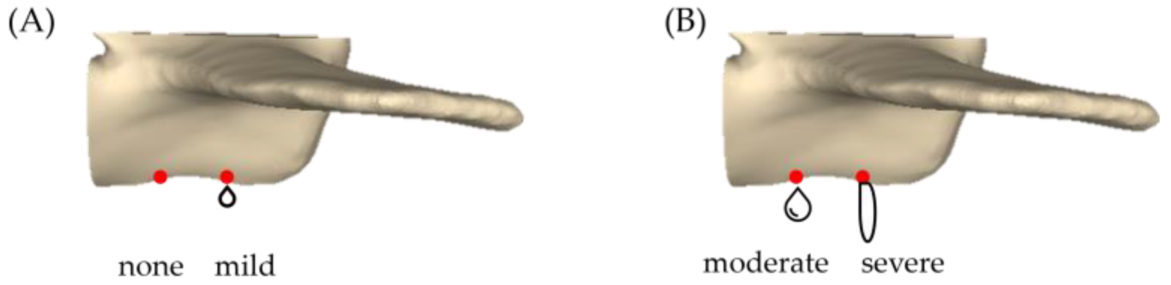 Bioengineering 10 00795 g005 Bioengineering 10 00795 g005