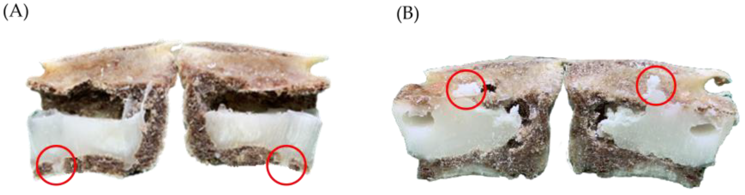 Bioengineering 10 00795 g009 Bioengineering 10 00795 g009