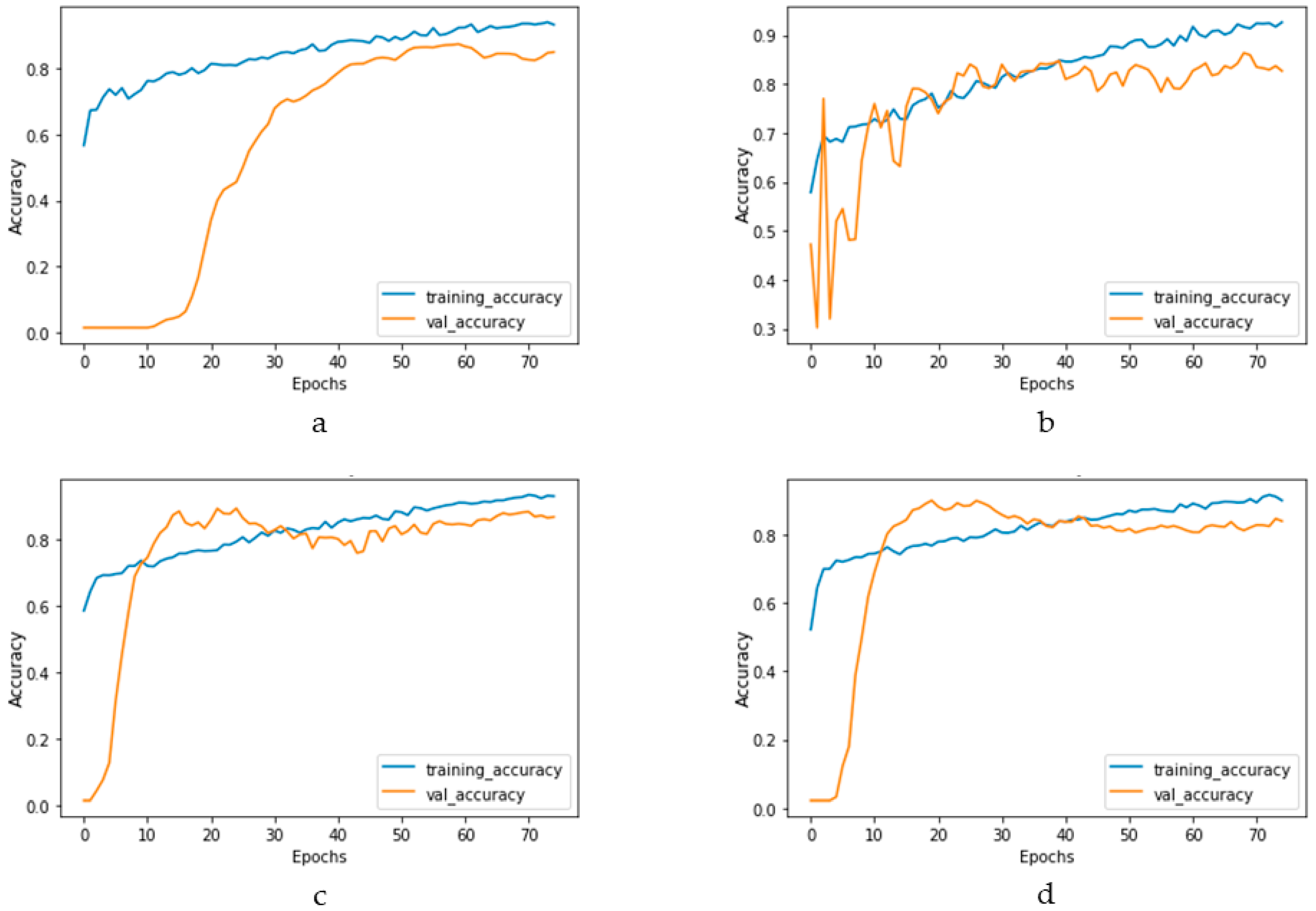 Bioengineering 10 00796 g018