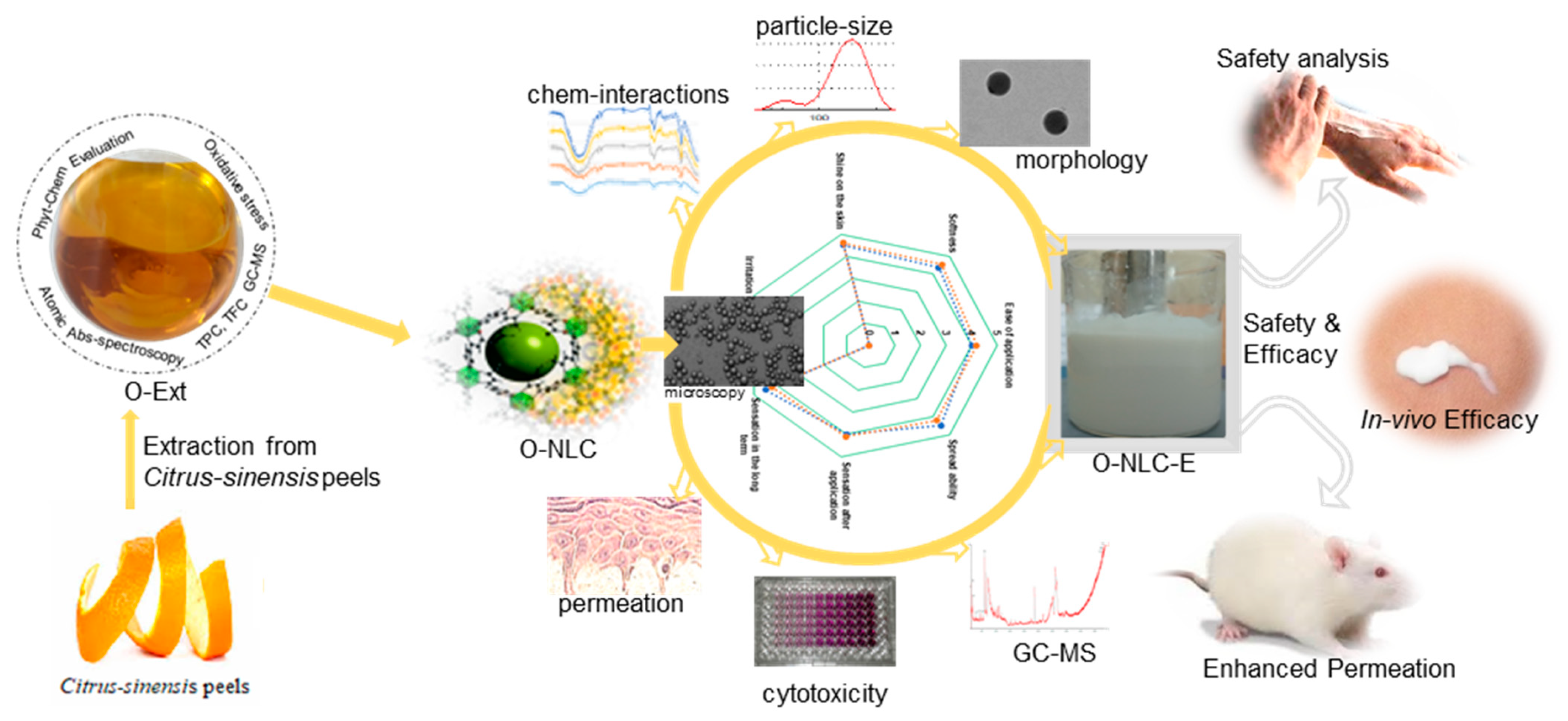 Bioengineering 10 00798 g001
