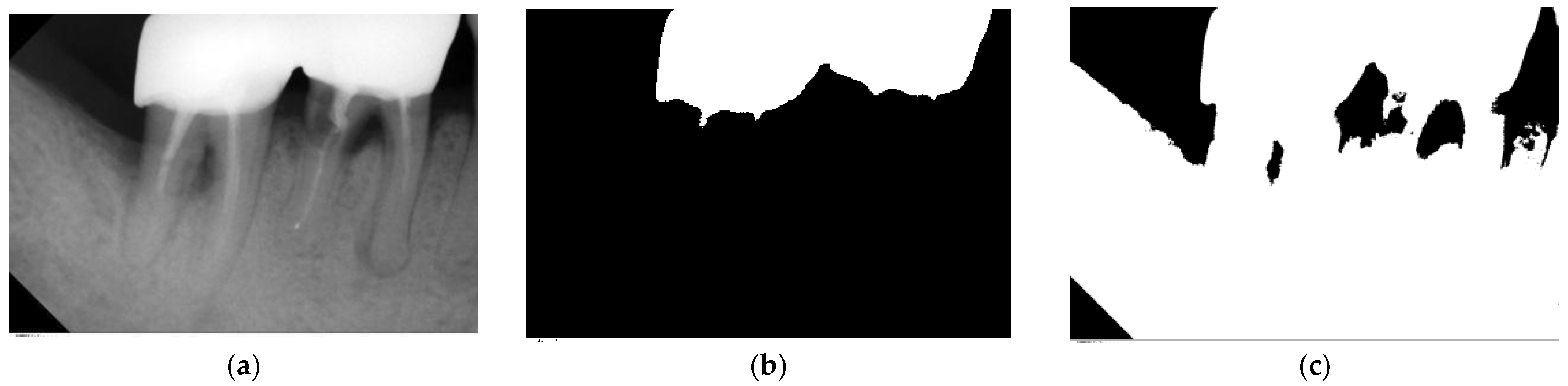 Bioengineering 10 00802 g005